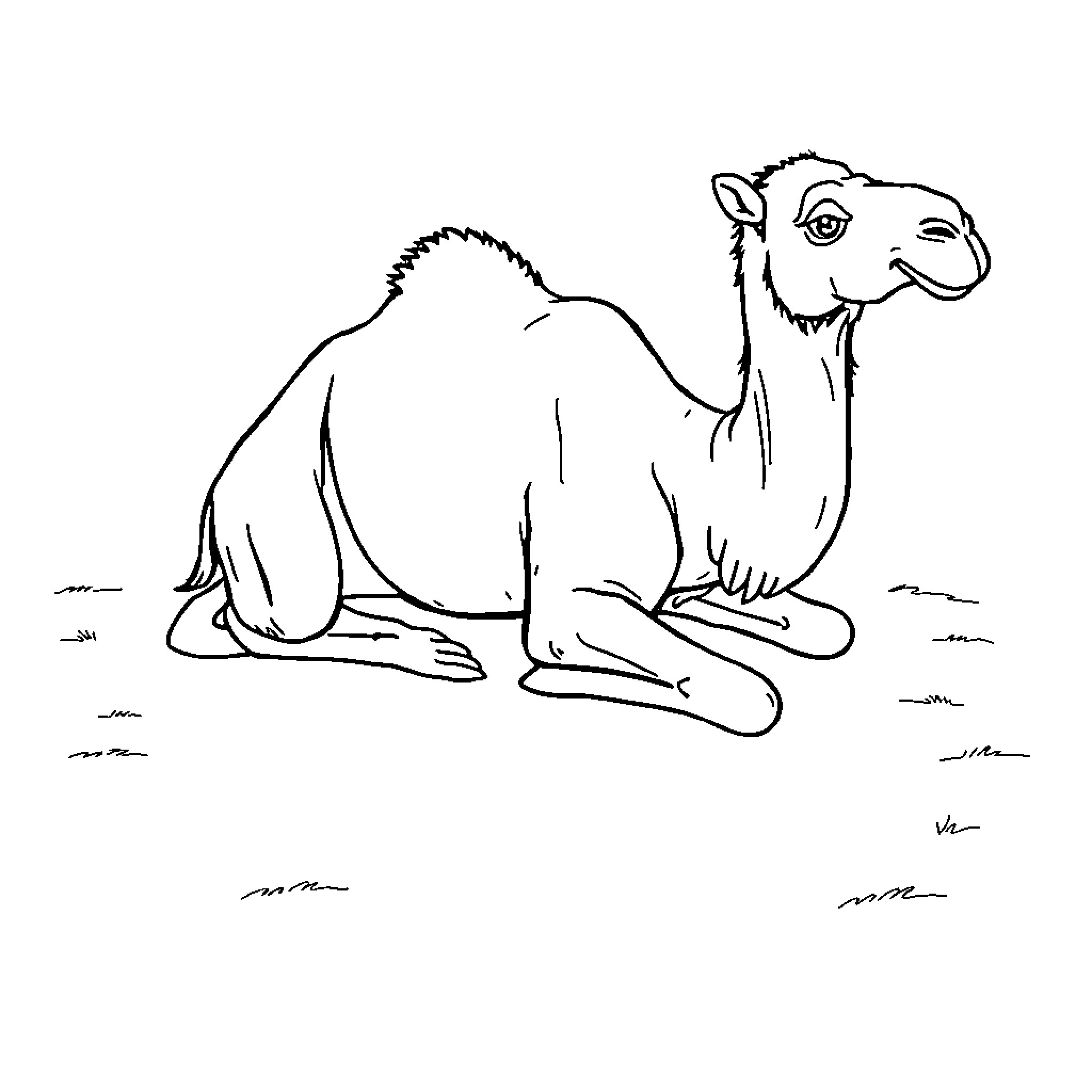 Camel resting calmly in the desert Coloring Page (free black-and-white line drawing printable PDF for all, from beginners to advanced learners, including children, teens, adults, and seniors)