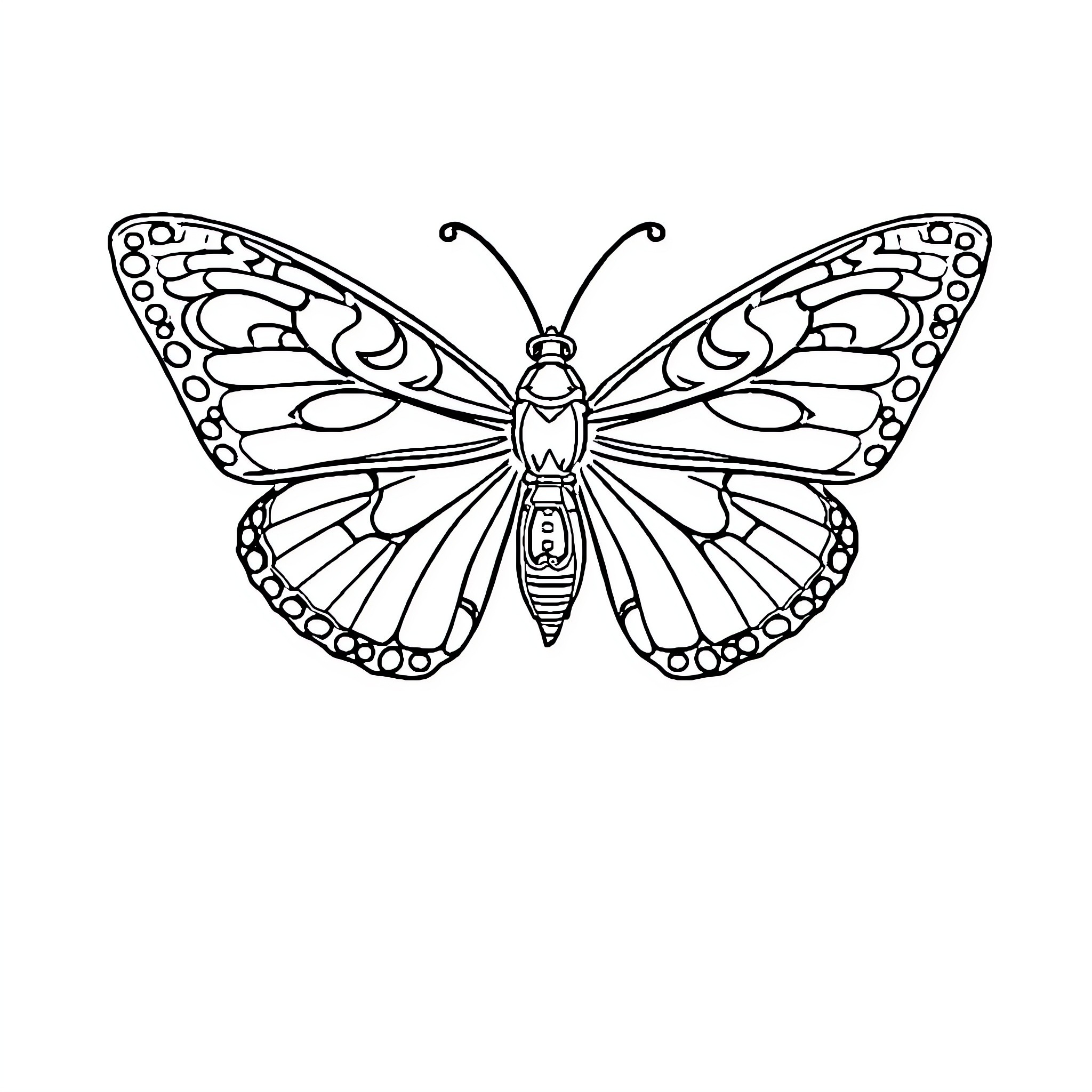 Butterfly in elegant silhouette Coloring Page (free black-and-white line drawing printable PDF for all, from beginners to advanced learners, including children, teens, adults, and seniors)