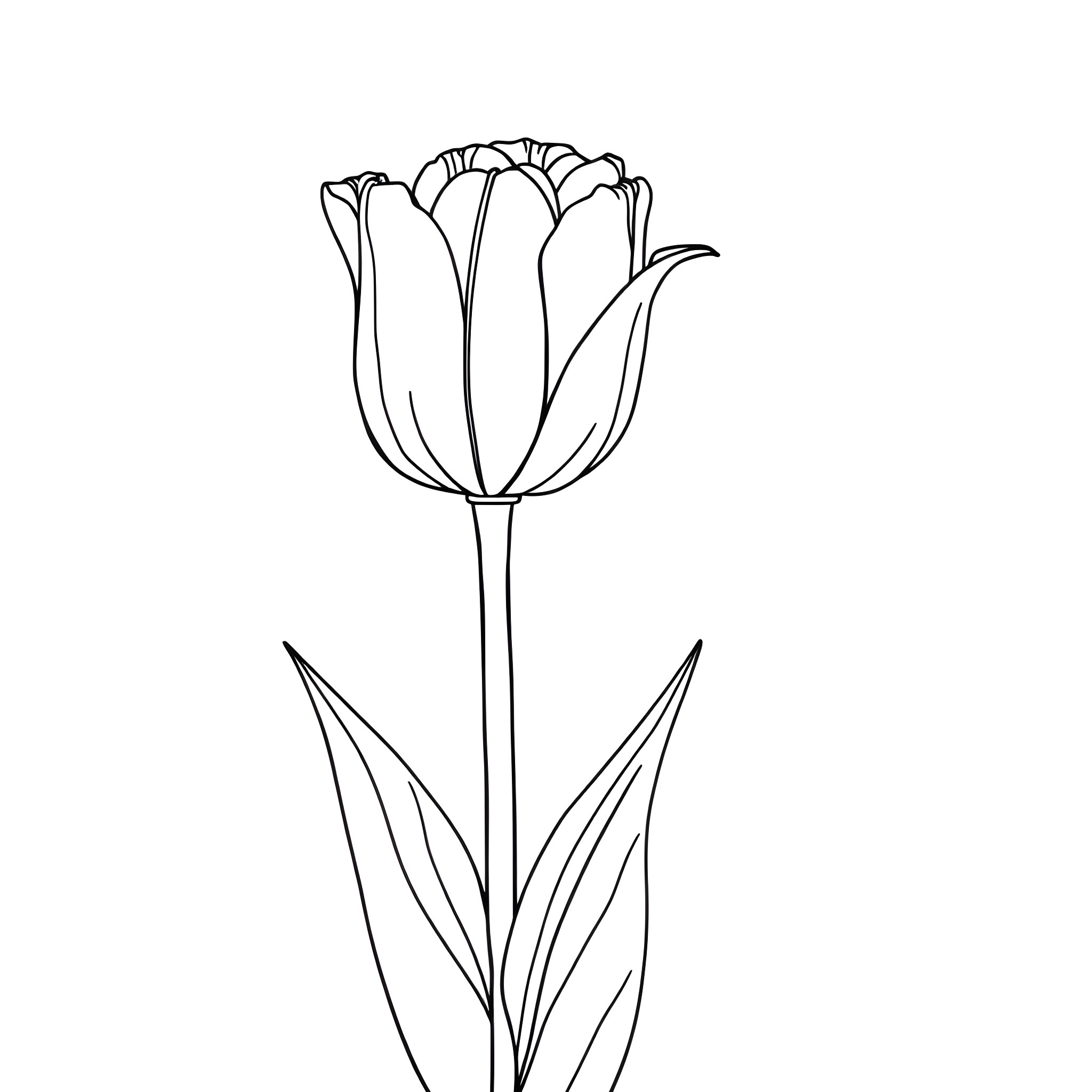 Tulip flower in line art style Coloring Page (free black-and-white line drawing printable PDF for all, from beginners to advanced learners, including children, teens, adults, and seniors)