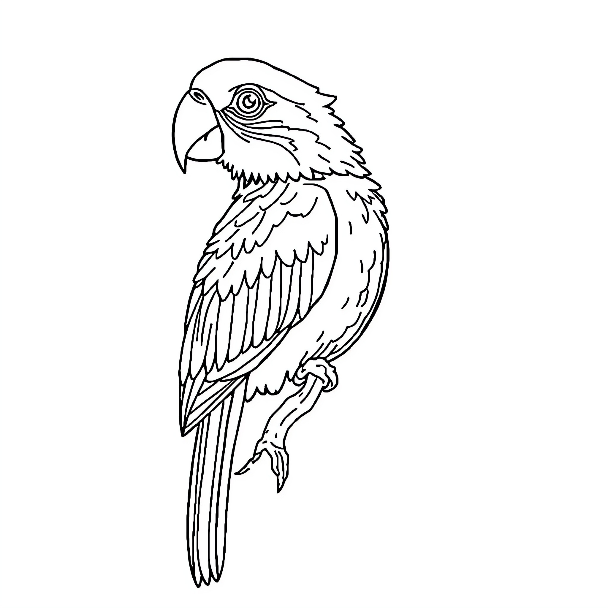 Animal parrot in profile view Coloring Page (free black-and-white line drawing printable PDF for all, from beginners to advanced learners, including children, teens, adults, and seniors)