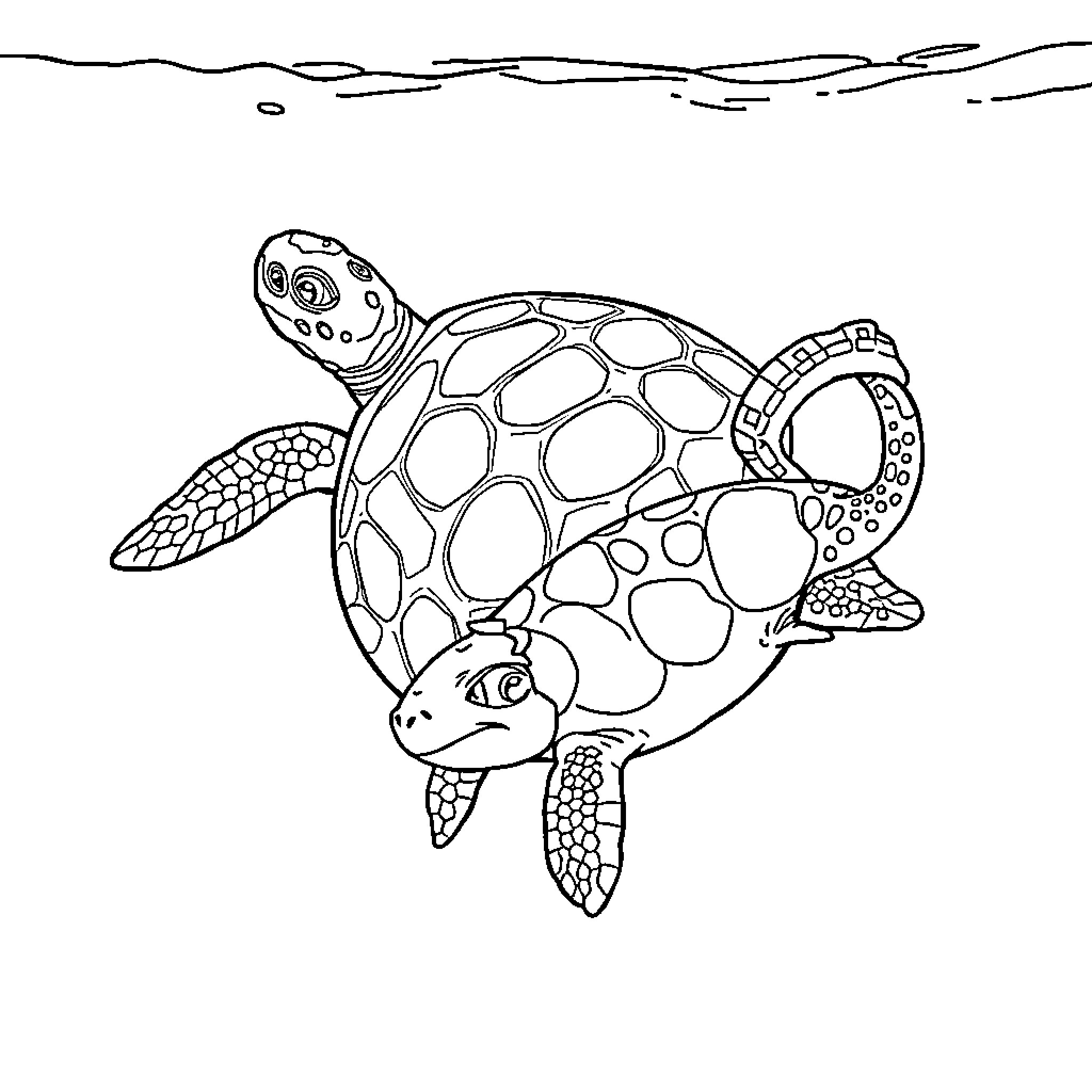 Turtle swimming in the ocean Coloring Page (free black-and-white line drawing printable PDF for all, from beginners to advanced learners, including children, teens, adults, and seniors)