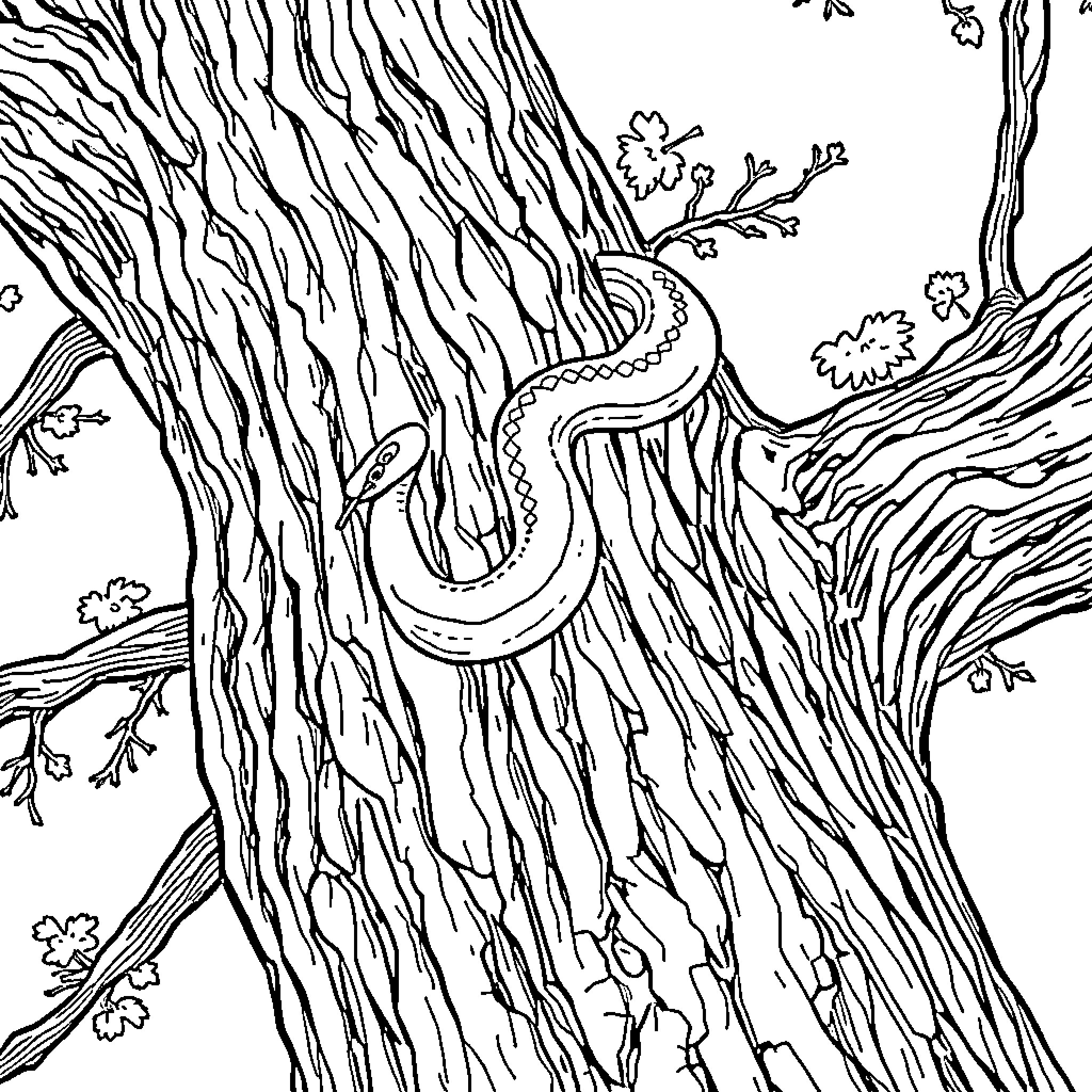 Snake slithering through textured tree bark Coloring Page (free black-and-white line drawing printable PDF for all, from beginners to advanced learners, including children, teens, adults, and seniors)