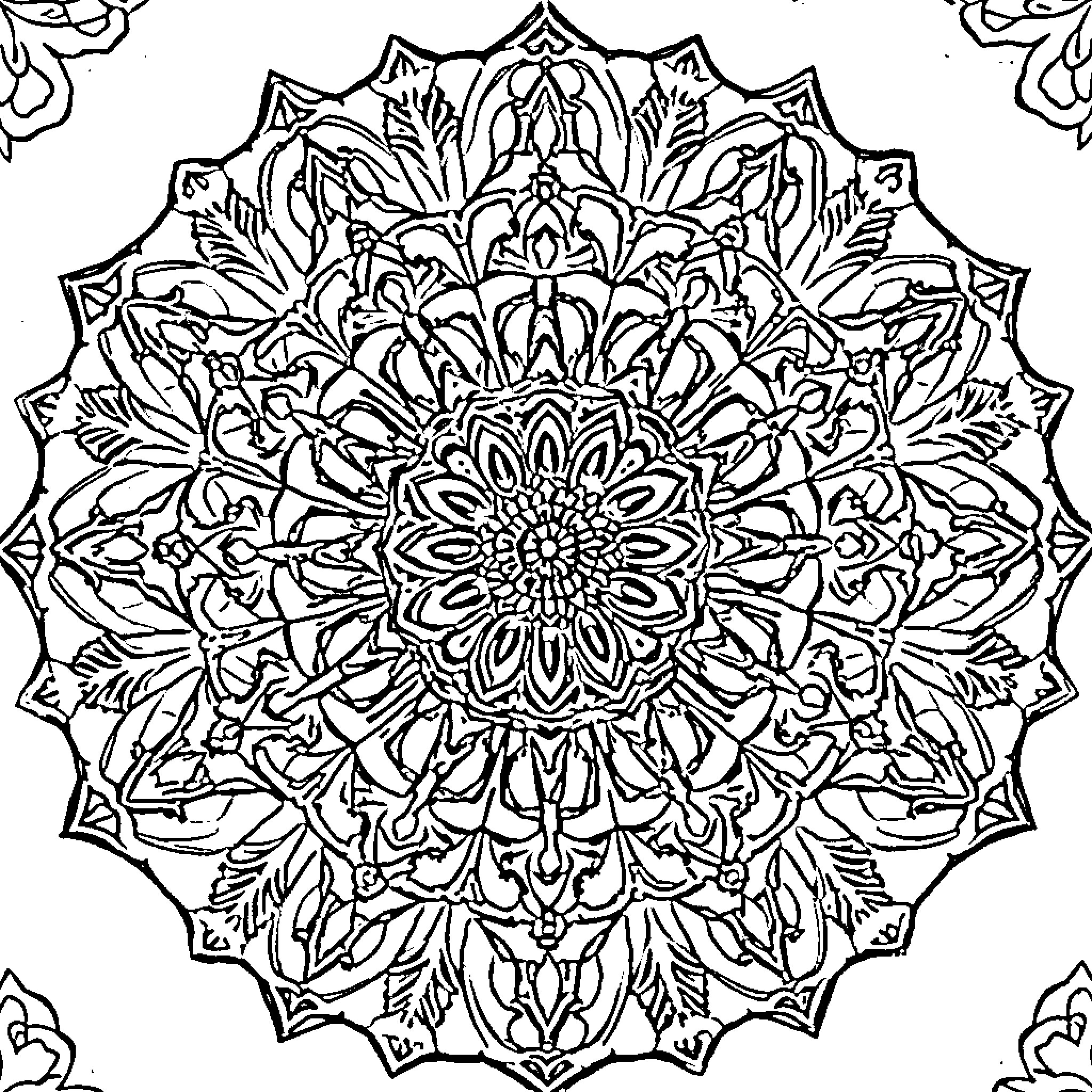 Camera Capturing Intricate Floral Mandala Design Coloring Page (free black-and-white line drawing printable PDF for all, from beginners to advanced learners, including children, teens, adults, and seniors)