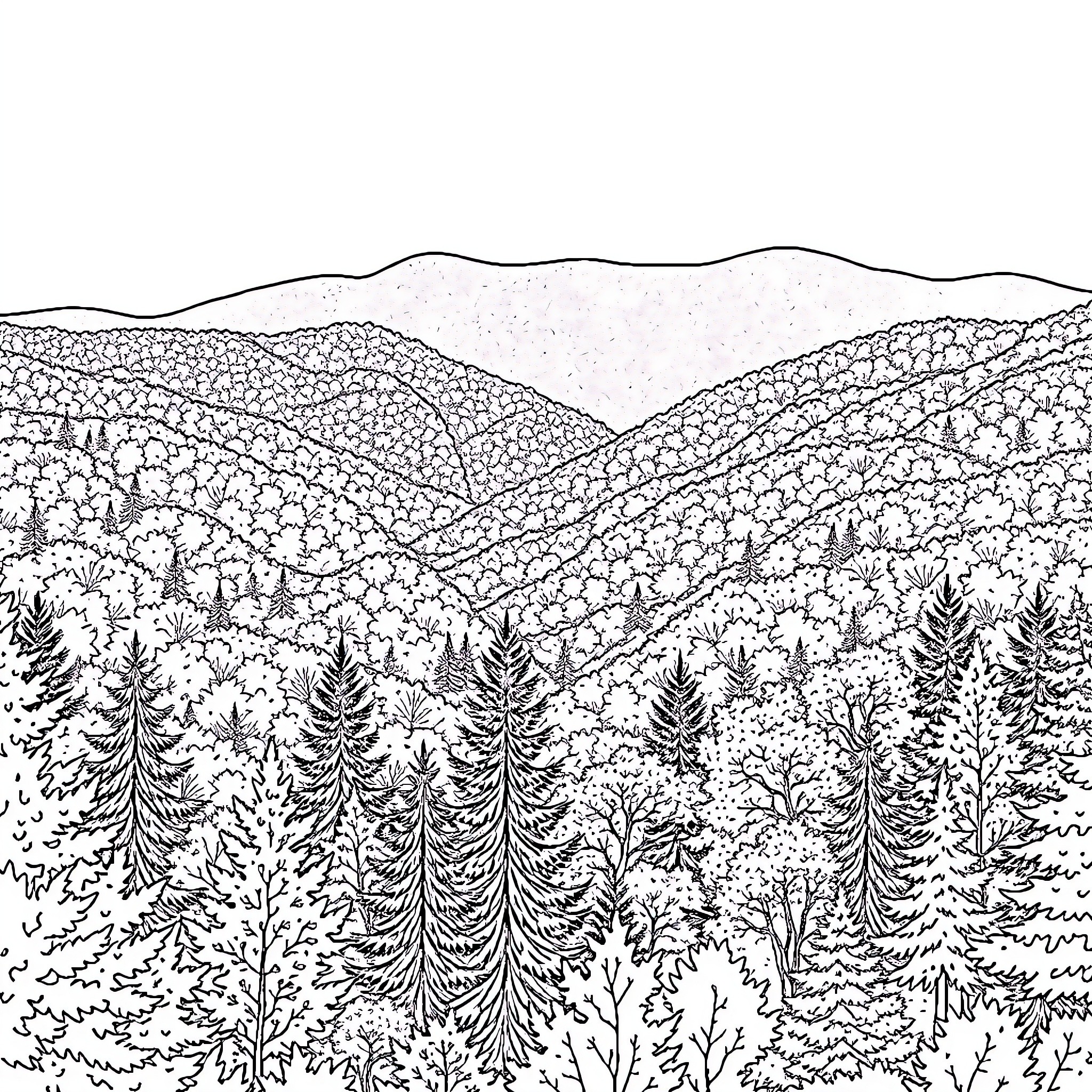 Mountain landscape with dense forest and vegetation Coloring Page (free black-and-white line drawing printable PDF for all, from beginners to advanced learners, including children, teens, adults, and seniors)