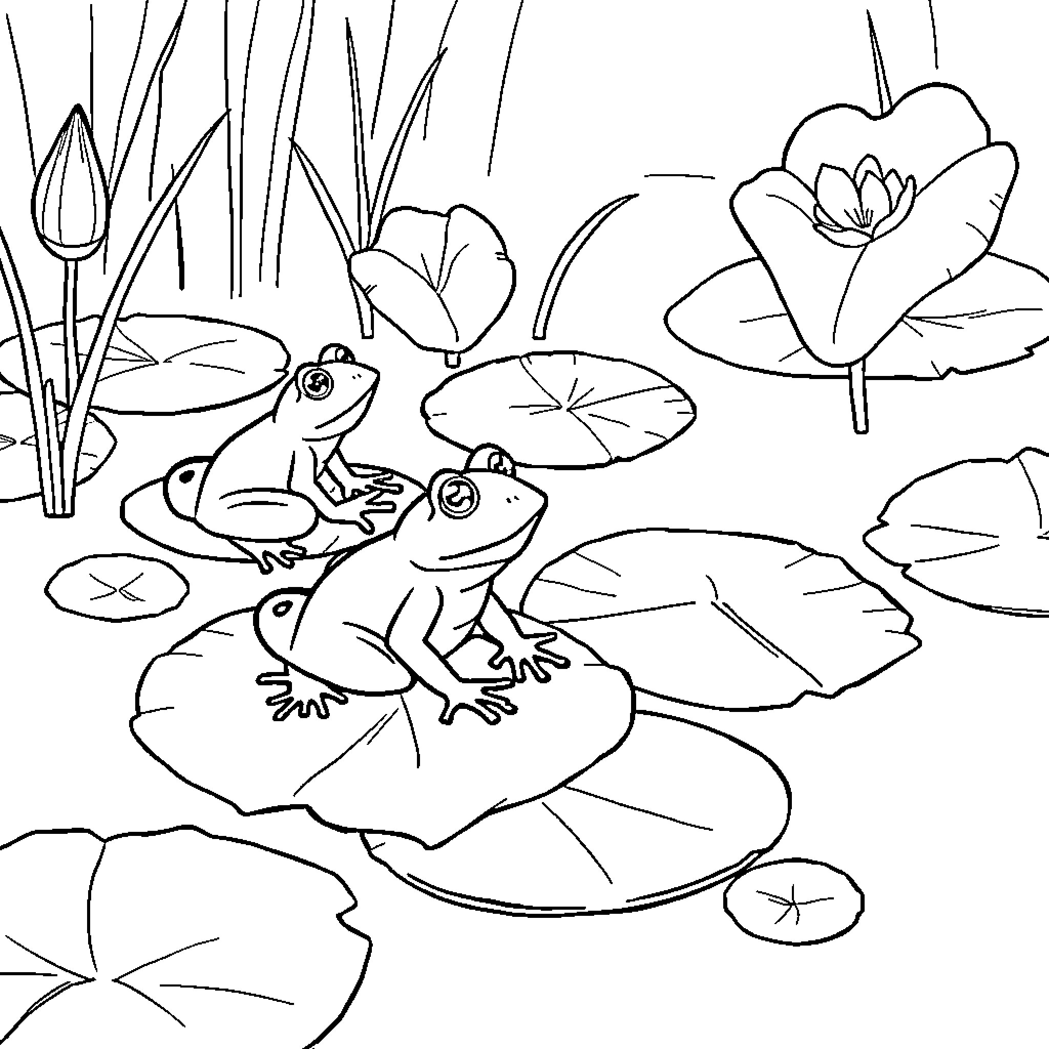 Frogs relaxing on lily pads in the pond Coloring Page (free black-and-white line drawing printable PDF for all, from beginners to advanced learners, including children, teens, adults, and seniors)