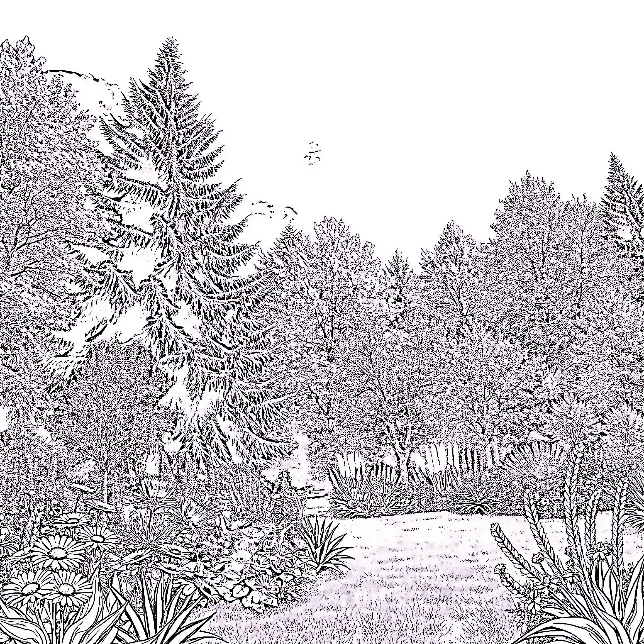Nature's Serene Winter Wonderland Coloring Page (free black-and-white line drawing printable PDF for all, from beginners to advanced learners, including children, teens, adults, and seniors)
