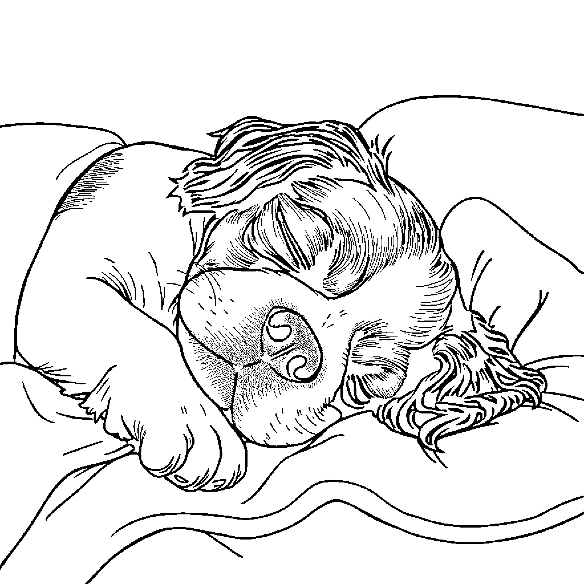 Cavalier resting peacefully in the wilderness Coloring Page (free black-and-white line drawing printable PDF for all, from beginners to advanced learners, including children, teens, adults, and seniors)