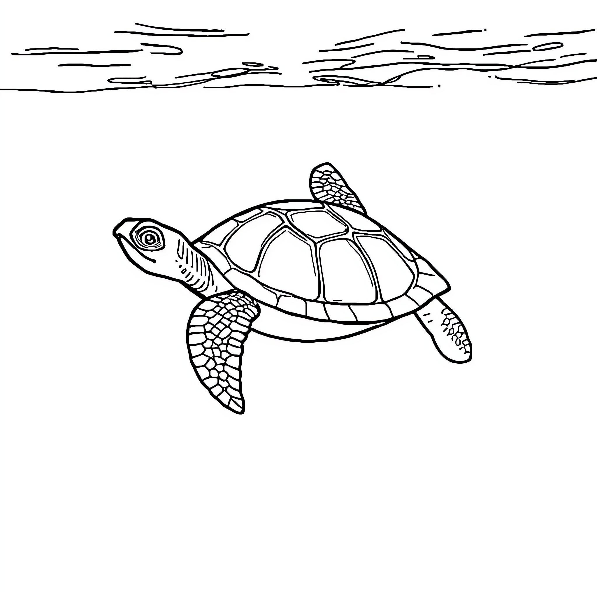 Turtle swimming in the ocean Coloring Page (free black-and-white line drawing printable PDF for all, from beginners to advanced learners, including children, teens, adults, and seniors)