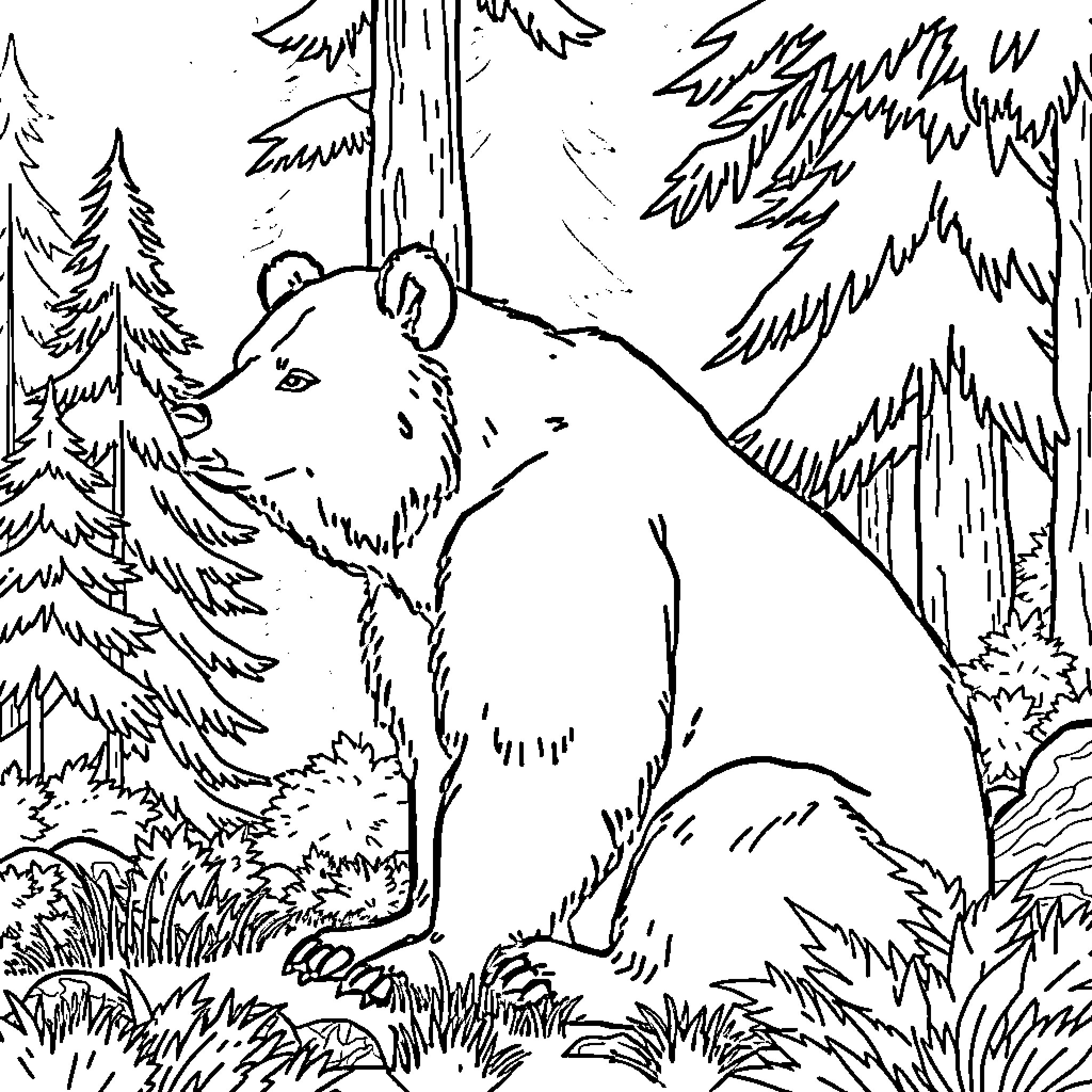 Bear wandering in the forest Coloring Page (free black-and-white line drawing printable PDF for all, from beginners to advanced learners, including children, teens, adults, and seniors)