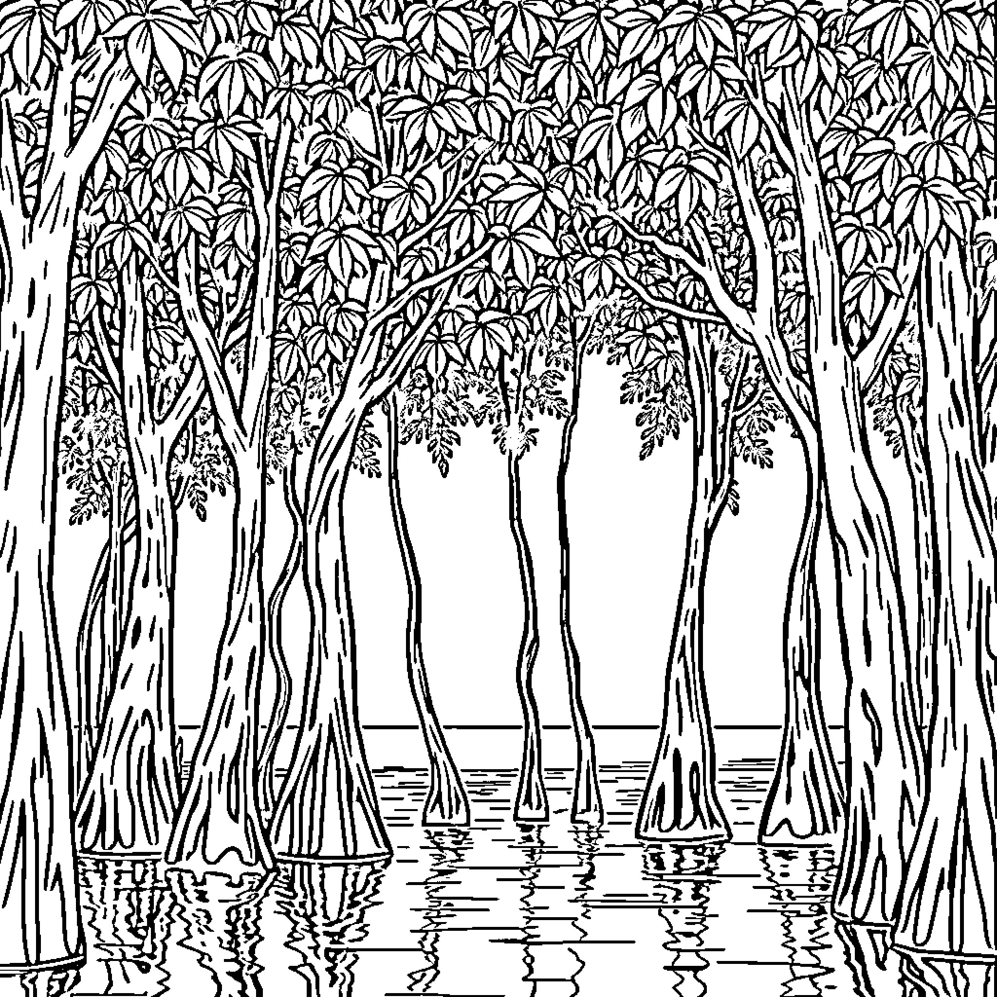 Mangrove Tree Forest with Calm Water Reflection Coloring Page (free black-and-white line drawing printable PDF for all, from beginners to advanced learners, including children, teens, adults, and seniors)