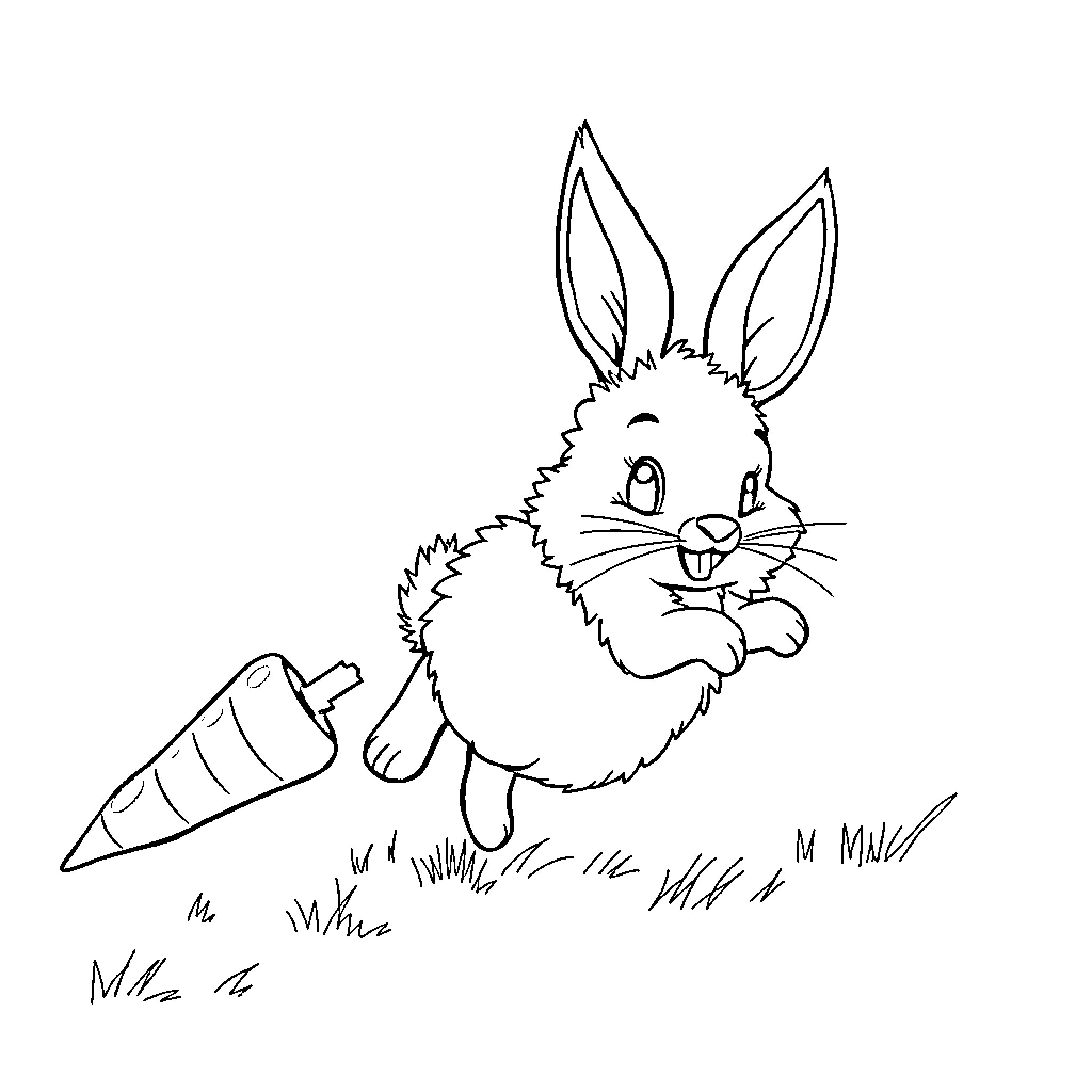 Bunny carrying a carrot on a grassy field Coloring Page (free black-and-white line drawing printable PDF for all, from beginners to advanced learners, including children, teens, adults, and seniors)