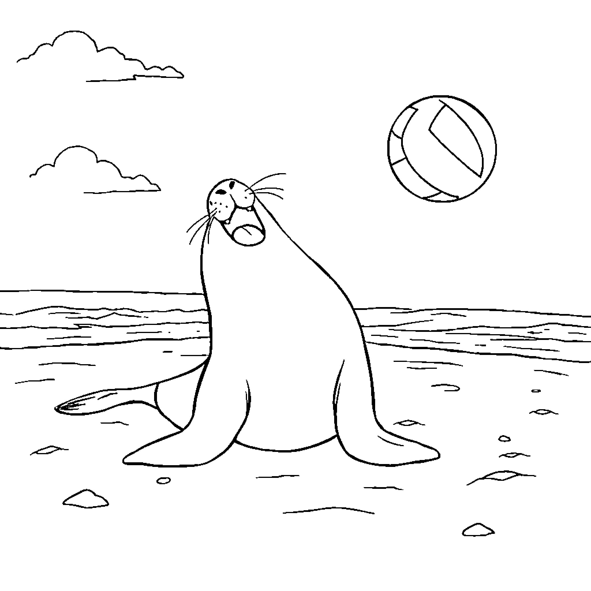 Sea Lion Basking on the Beach Coloring Page (free black-and-white line drawing printable PDF for all, from beginners to advanced learners, including children, teens, adults, and seniors)