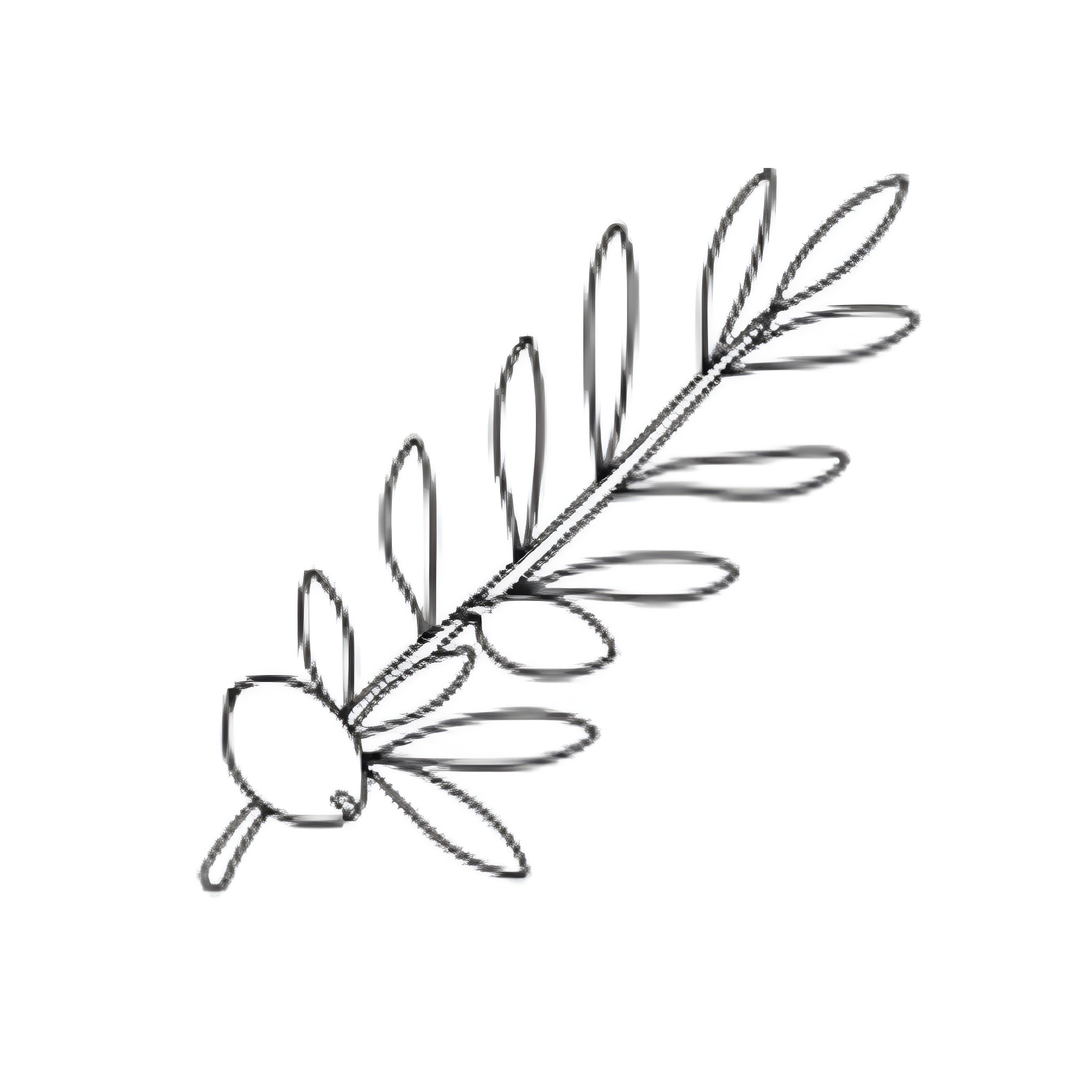 Olive Branch with Delicate Leaves Coloring Page (free black-and-white line drawing printable PDF for all, from beginners to advanced learners, including children, teens, adults, and seniors)