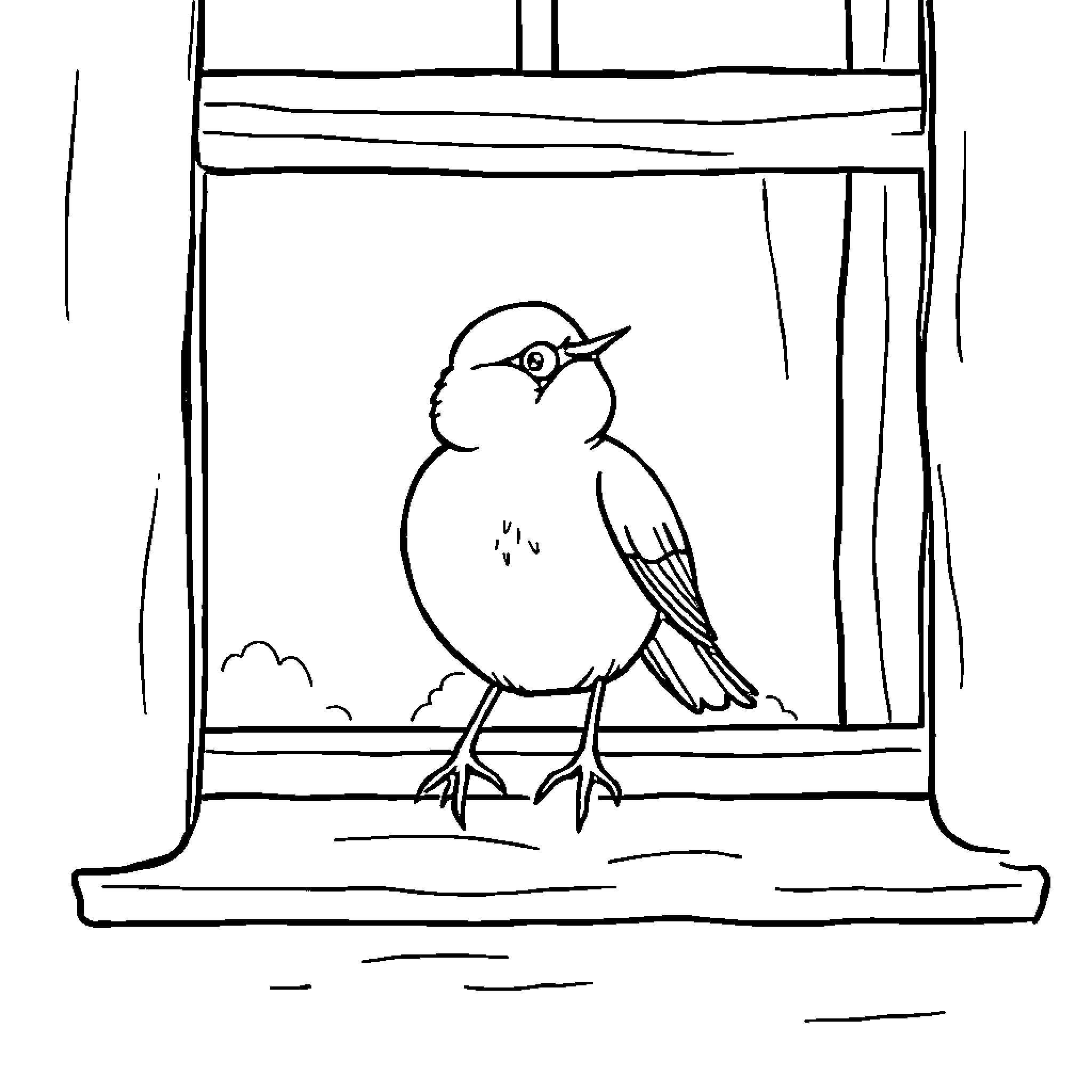Bird perched on window sill Coloring Page (free black-and-white line drawing printable PDF for all, from beginners to advanced learners, including children, teens, adults, and seniors)
