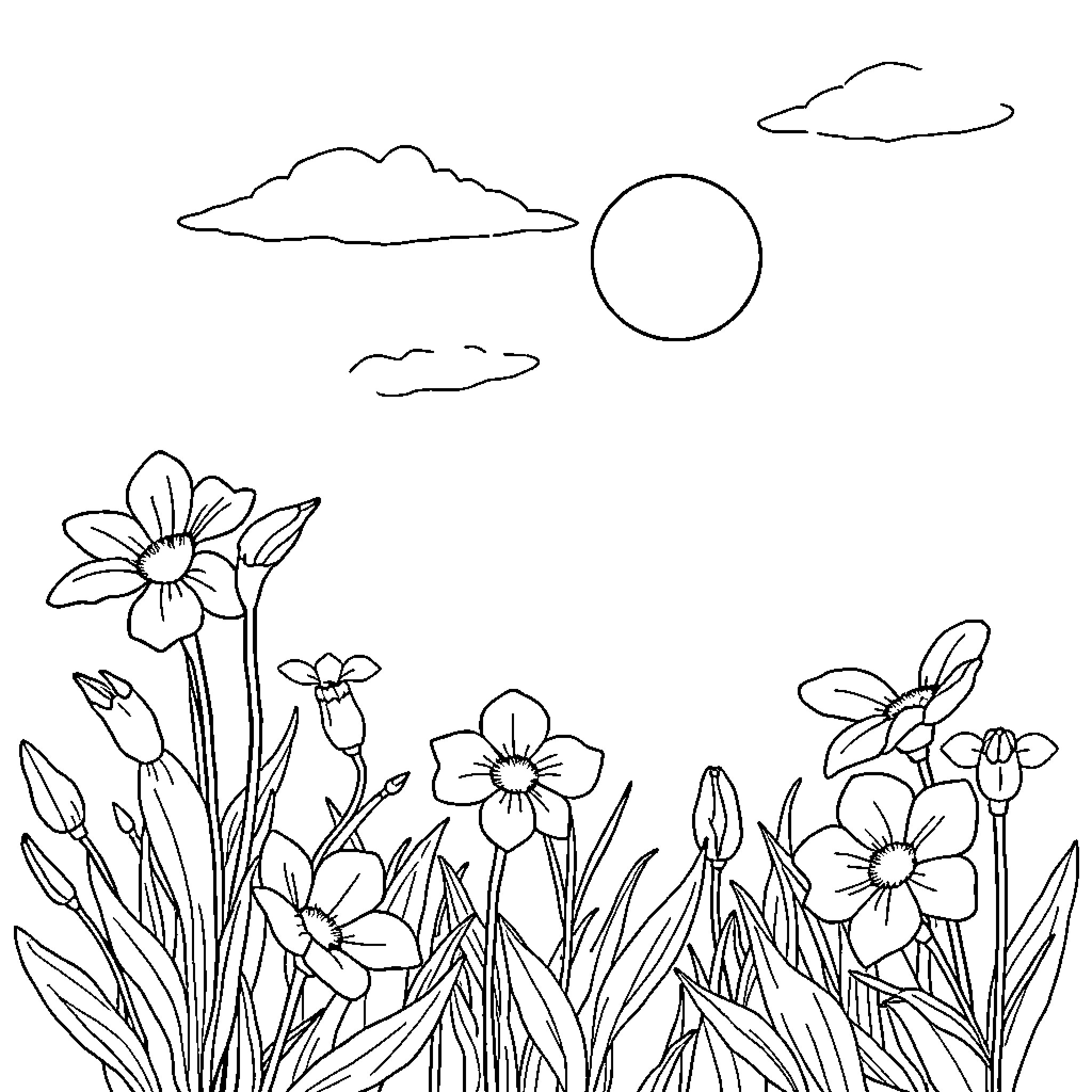 Summer garden with blooming flowers Coloring Page (free black-and-white line drawing printable PDF for all, from beginners to advanced learners, including children, teens, adults, and seniors)