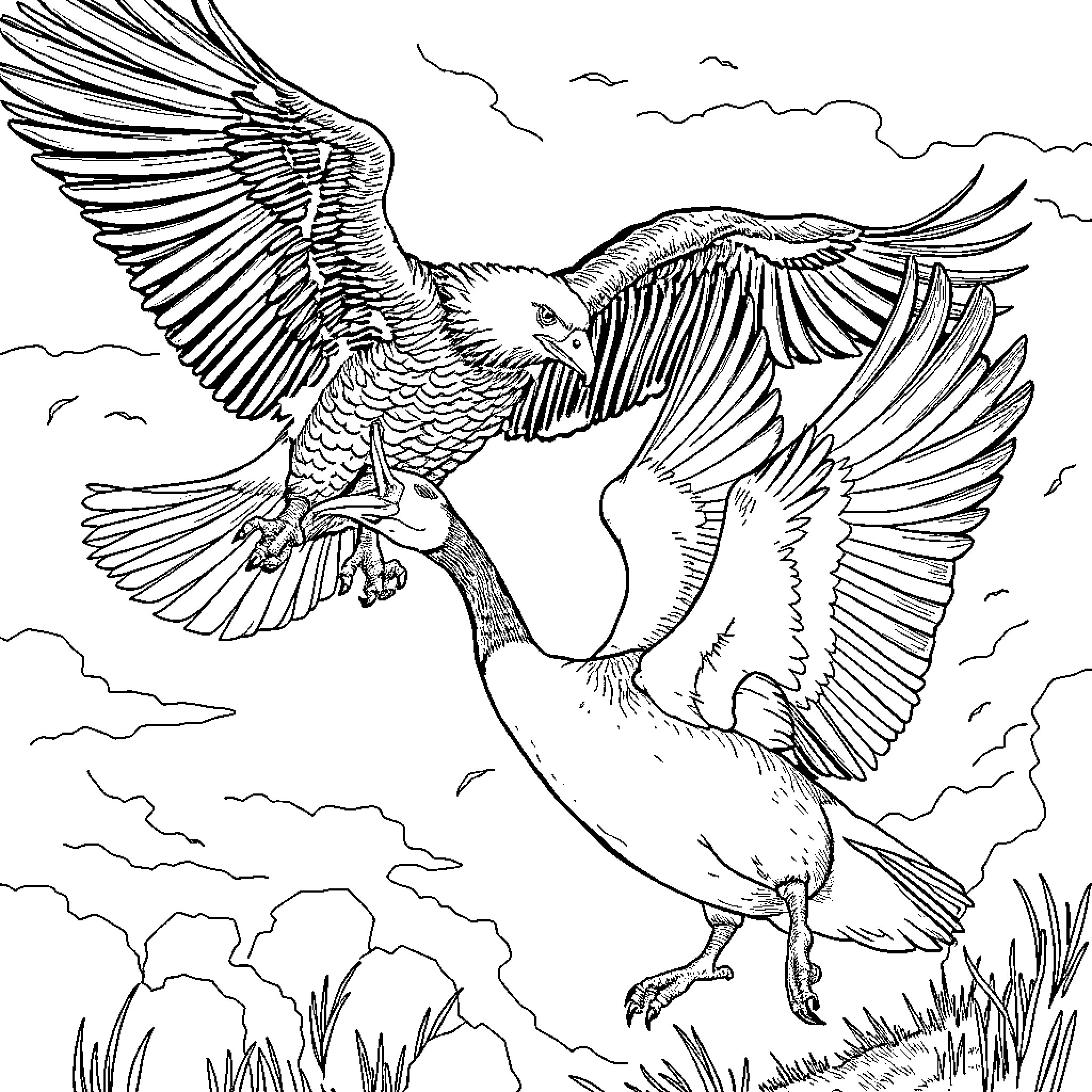 Goose spreading its majestic wings in flight Coloring Page (free black-and-white line drawing printable PDF for all, from beginners to advanced learners, including children, teens, adults, and seniors)