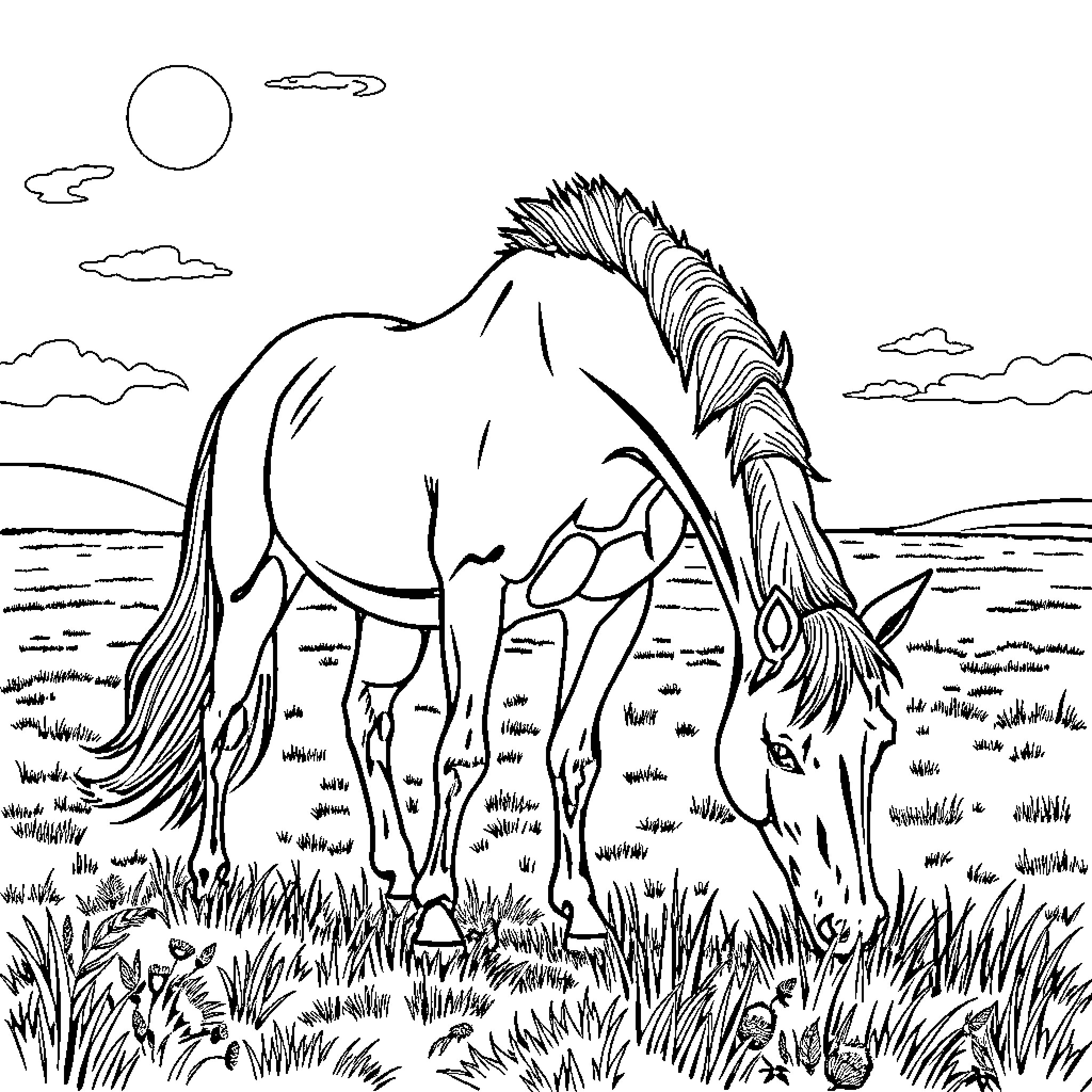 Horse grazing peacefully in the countryside Coloring Page (free black-and-white line drawing printable PDF for all, from beginners to advanced learners, including children, teens, adults, and seniors)