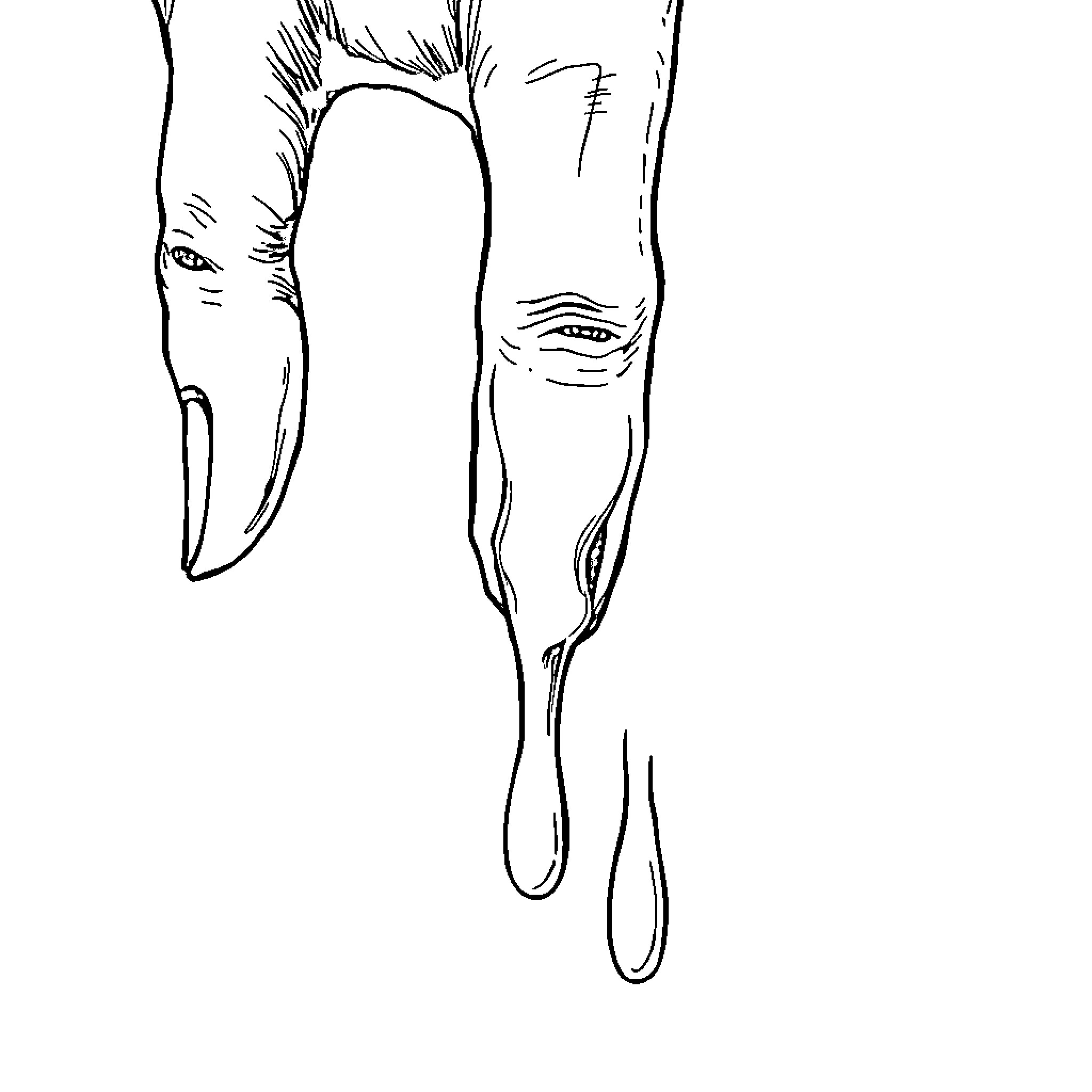 Hand reaching out with expression Coloring Page (free black-and-white line drawing printable PDF for all, from beginners to advanced learners, including children, teens, adults, and seniors)