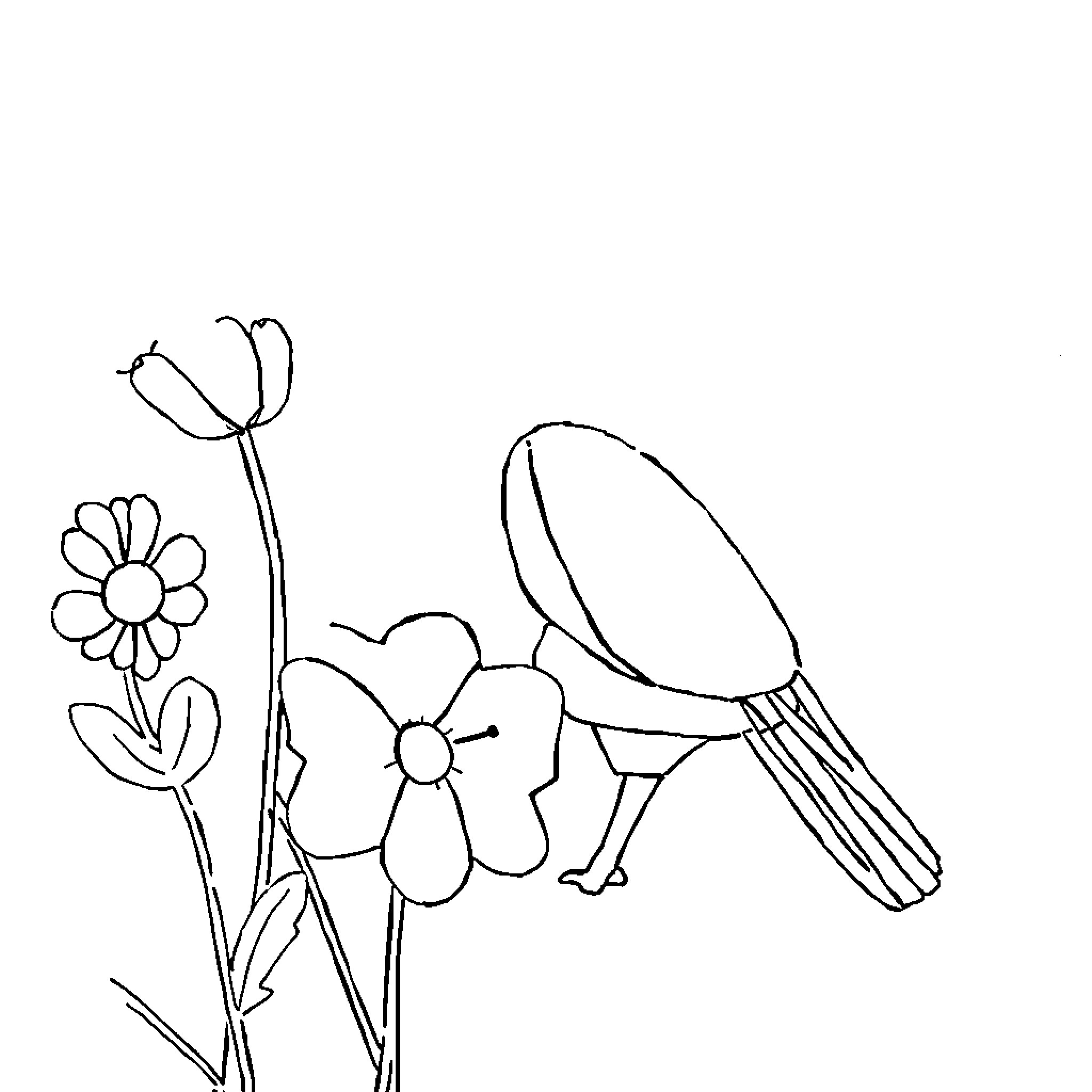 Drawing of a Butterfly Resting on Flowers Coloring Page (free black-and-white line drawing printable PDF for all, from beginners to advanced learners, including children, teens, adults, and seniors)