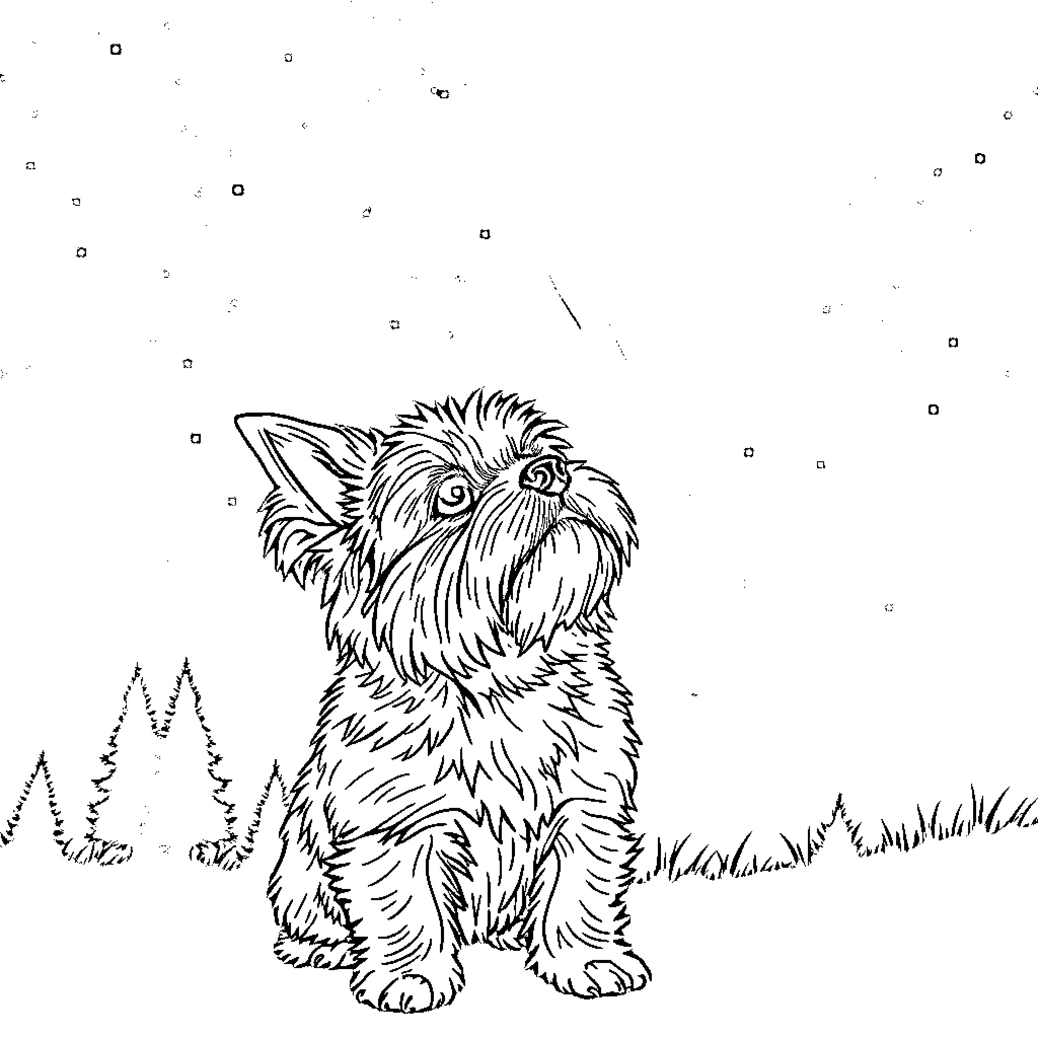 Yorkie playing in the snowy landscape Coloring Page (free black-and-white line drawing printable PDF for all, from beginners to advanced learners, including children, teens, adults, and seniors)