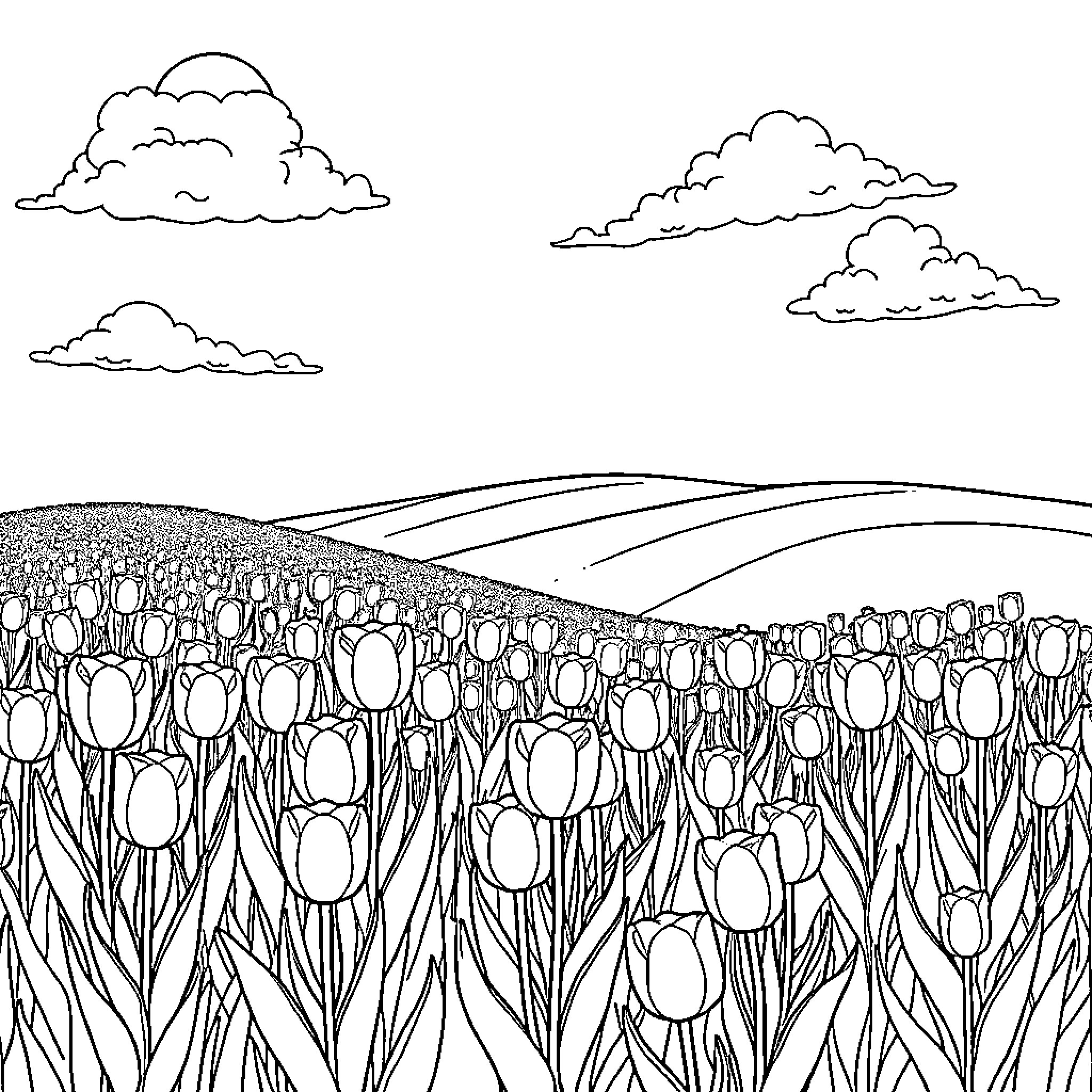 Tulip field in the countryside landscape Coloring Page (free black-and-white line drawing printable PDF for all, from beginners to advanced learners, including children, teens, adults, and seniors)