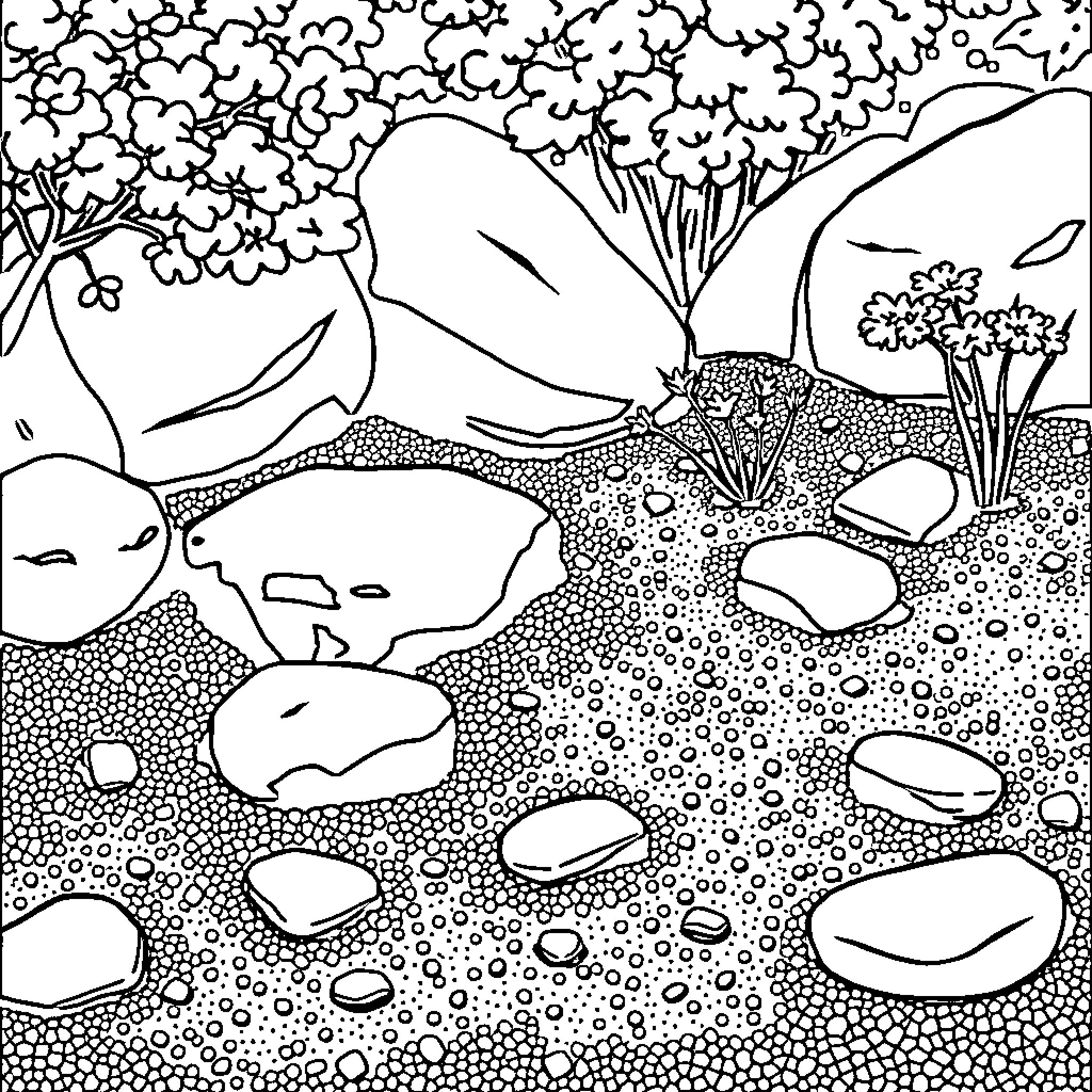 Zen Garden with Serene Landscape and Natural Elements Coloring Page (free black-and-white line drawing printable PDF for all, from beginners to advanced learners, including children, teens, adults, and seniors)