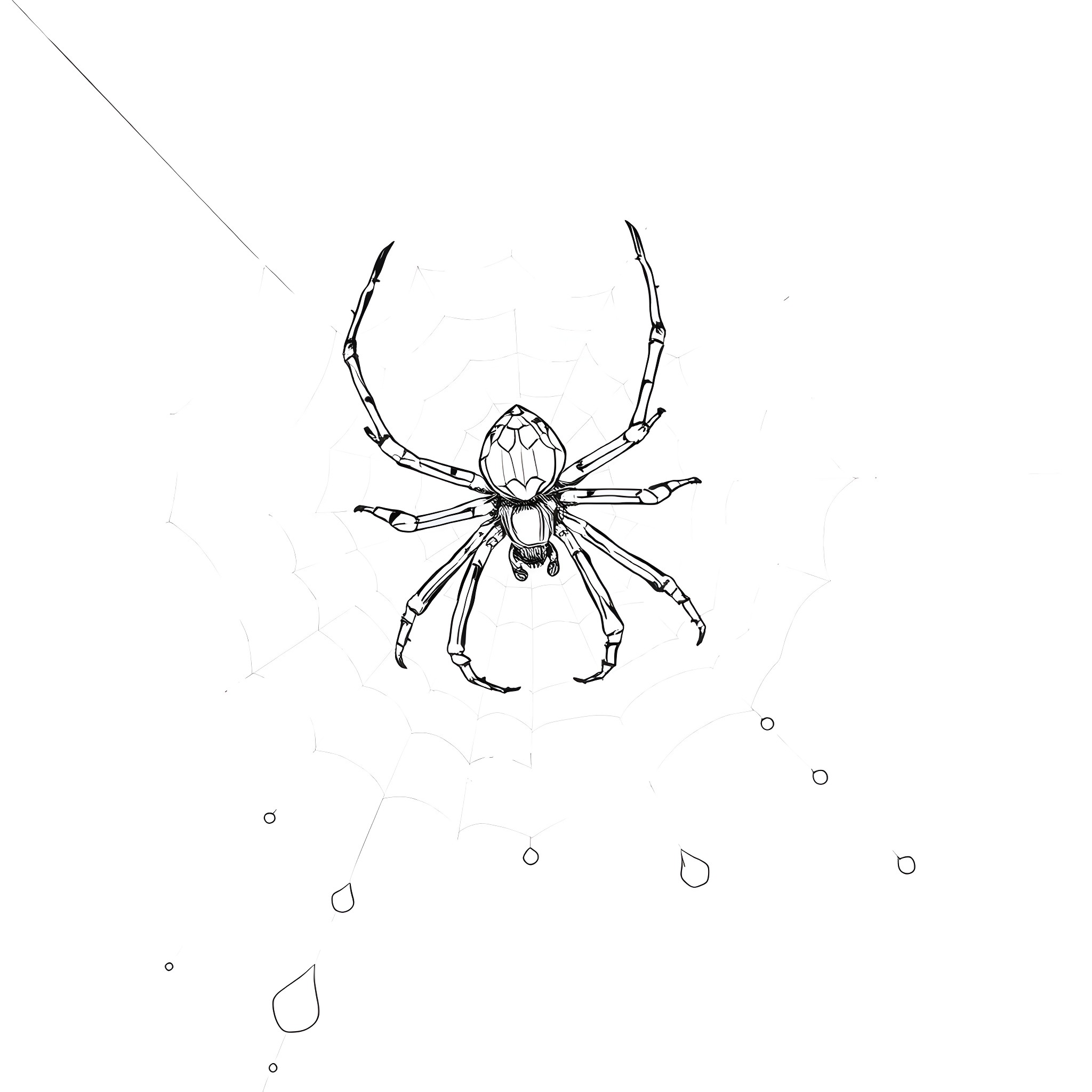 Spider weaving intricate web Coloring Page (free black-and-white line drawing printable PDF for all, from beginners to advanced learners, including children, teens, adults, and seniors)