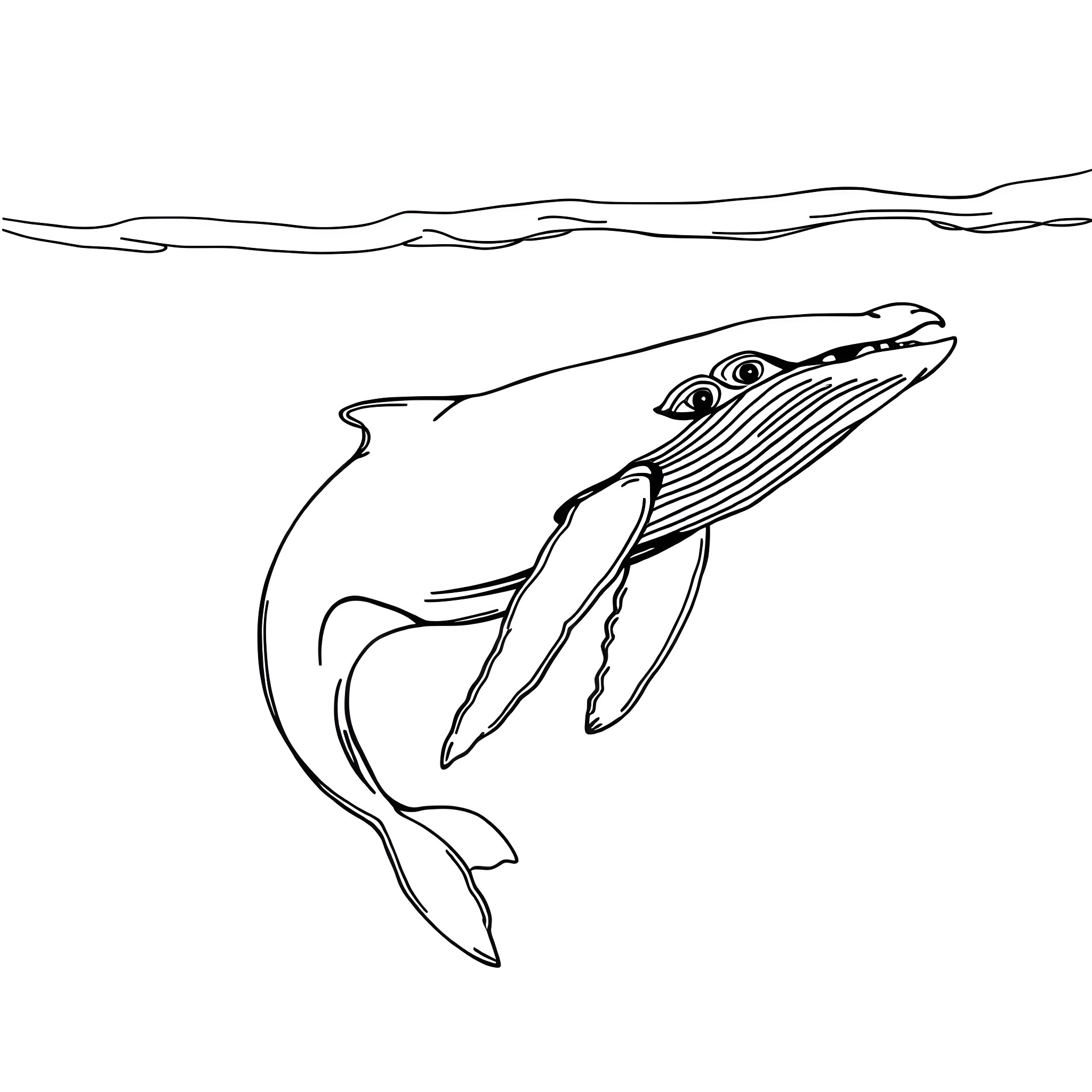 Whale swimming gracefully through the ocean Coloring Page (free black-and-white line drawing printable PDF for all, from beginners to advanced learners, including children, teens, adults, and seniors)