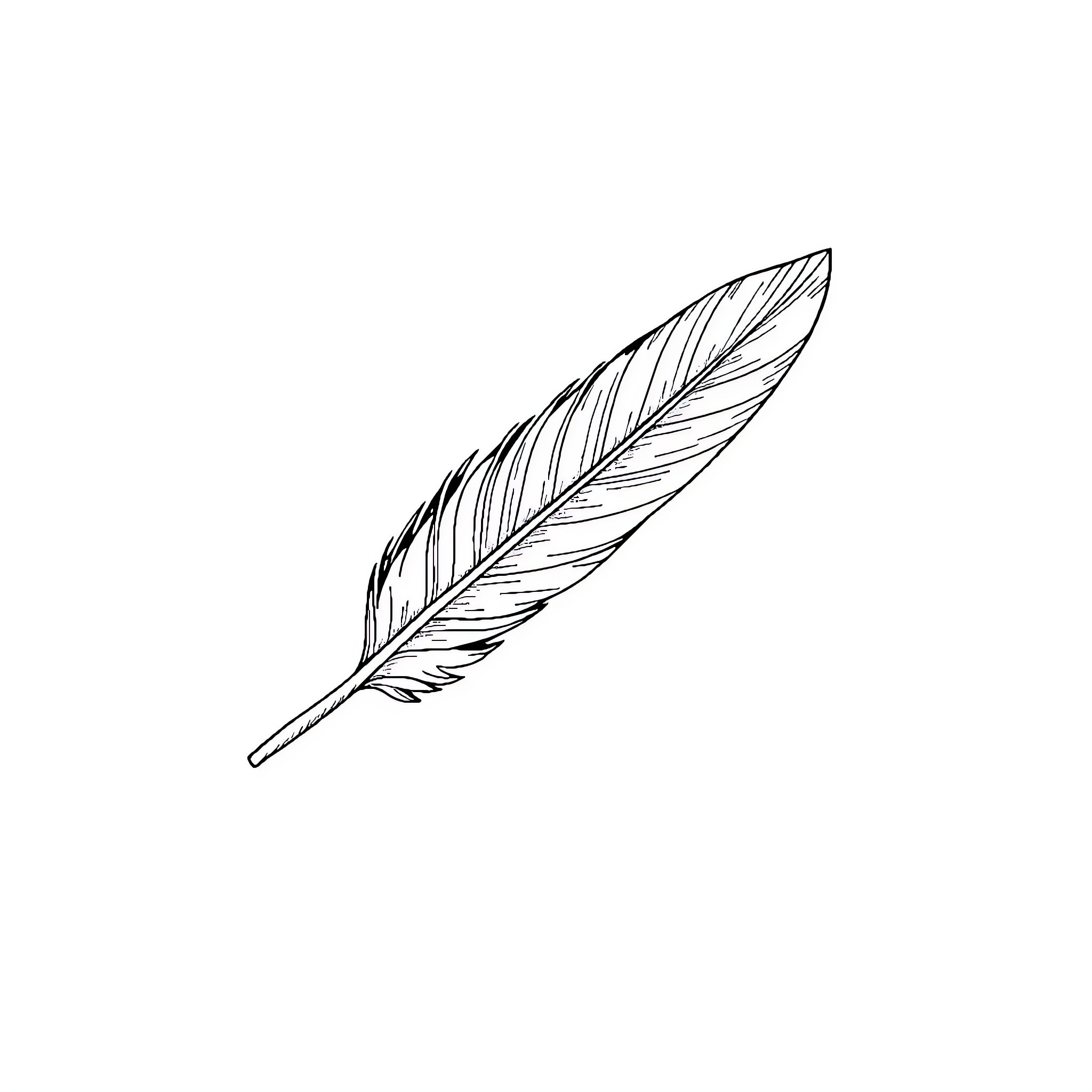 A Delicate Feather in Flight Coloring Page (free black-and-white line drawing printable PDF for all, from beginners to advanced learners, including children, teens, adults, and seniors)