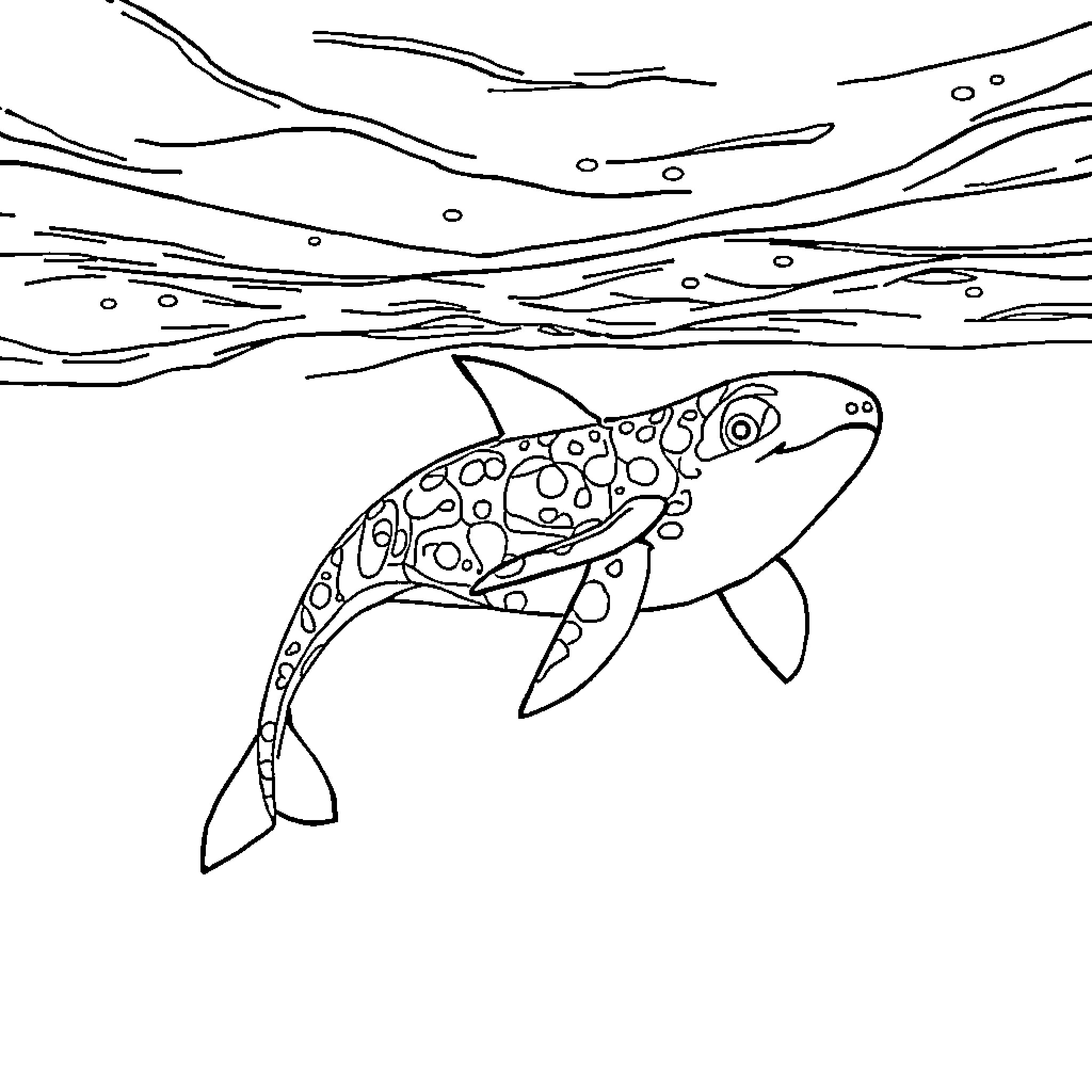 Seal swimming gracefully in the underwater scene Coloring Page (free black-and-white line drawing printable PDF for all, from beginners to advanced learners, including children, teens, adults, and seniors)