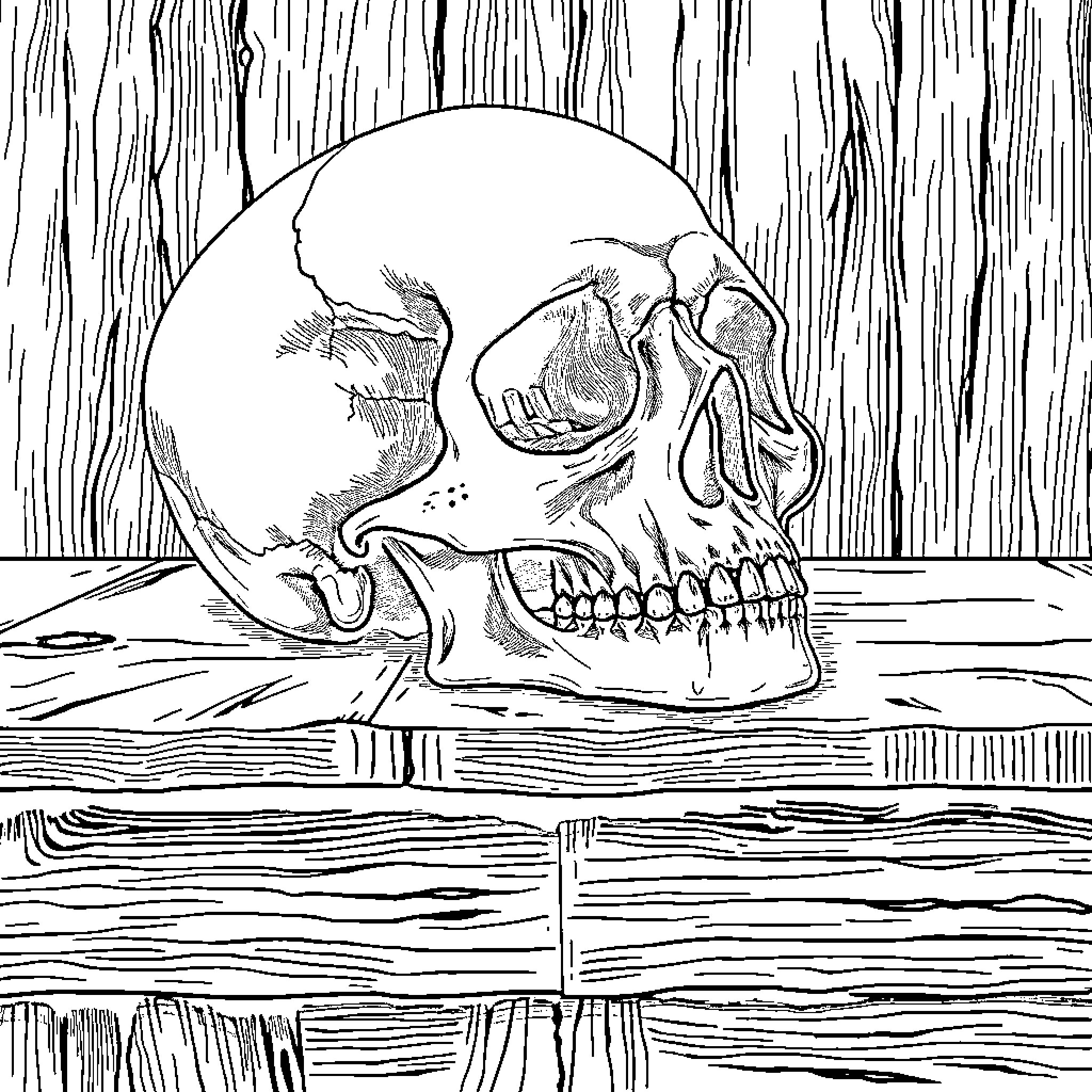Skull on Wooden Surface Coloring Page (free black-and-white line drawing printable PDF for all, from beginners to advanced learners, including children, teens, adults, and seniors)