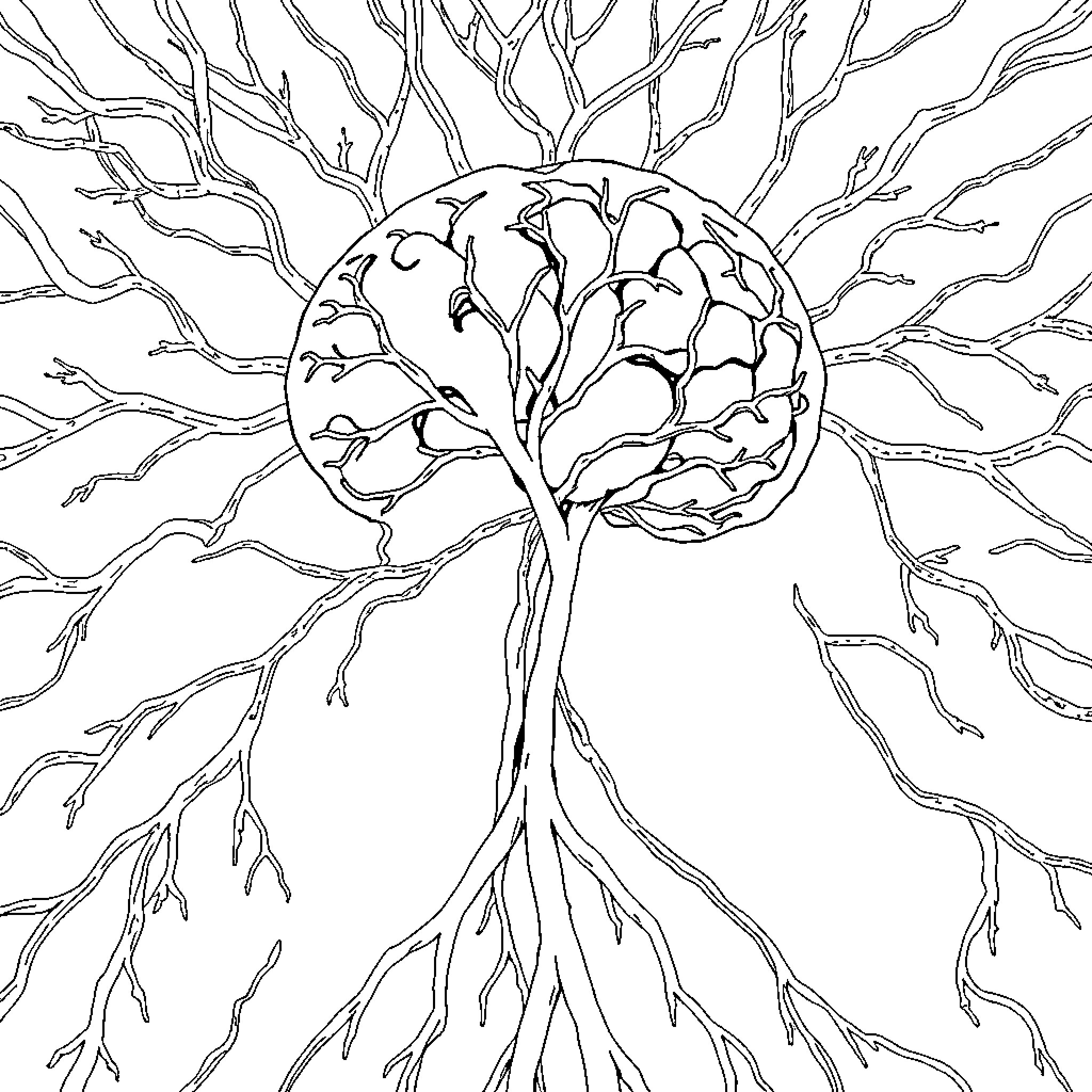 Nervous System Anatomy Outlined in Tree Form Coloring Page (free black-and-white line drawing printable PDF for all, from beginners to advanced learners, including children, teens, adults, and seniors)