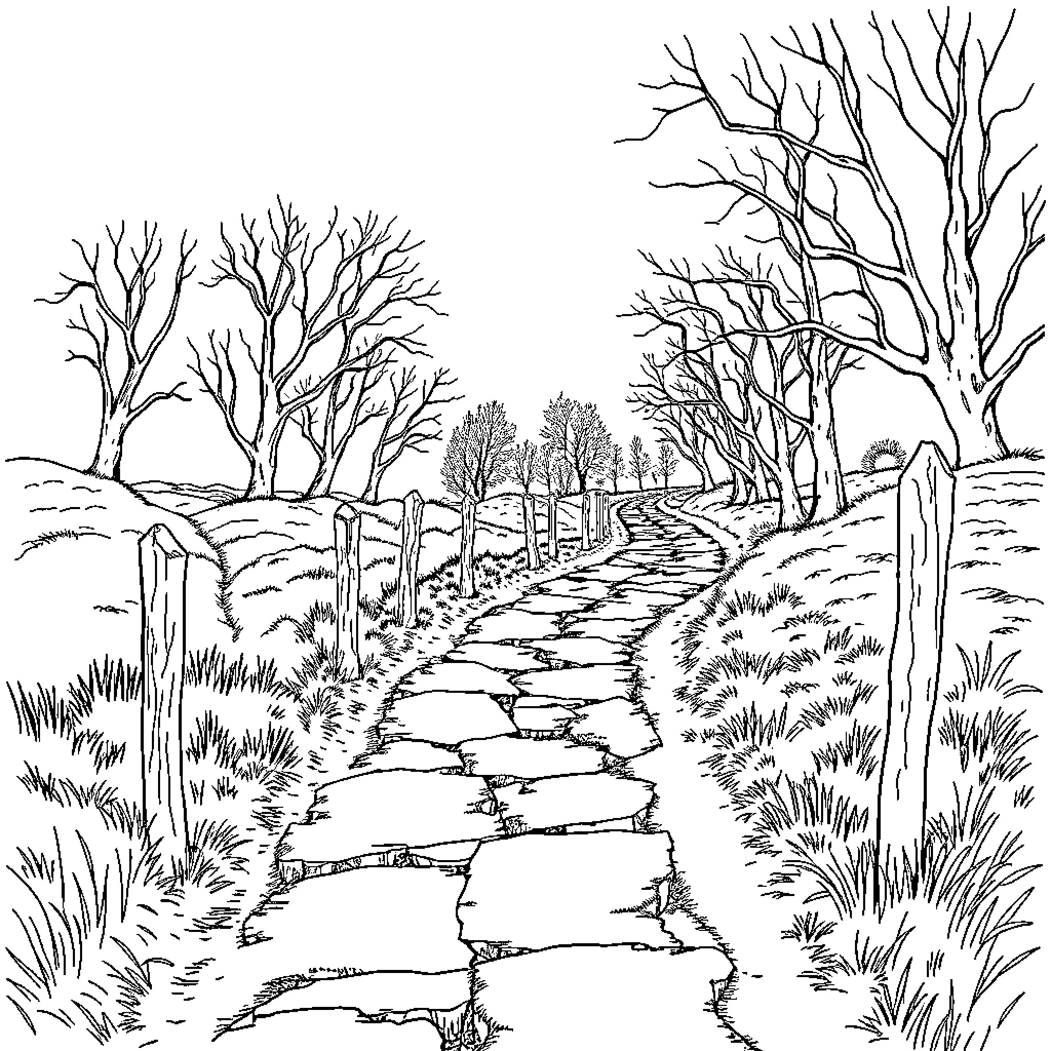 Timeline of a Winding Path through Bare Winter Trees Coloring Page (free black-and-white line drawing printable PDF for all, from beginners to advanced learners, including children, teens, adults, and seniors)