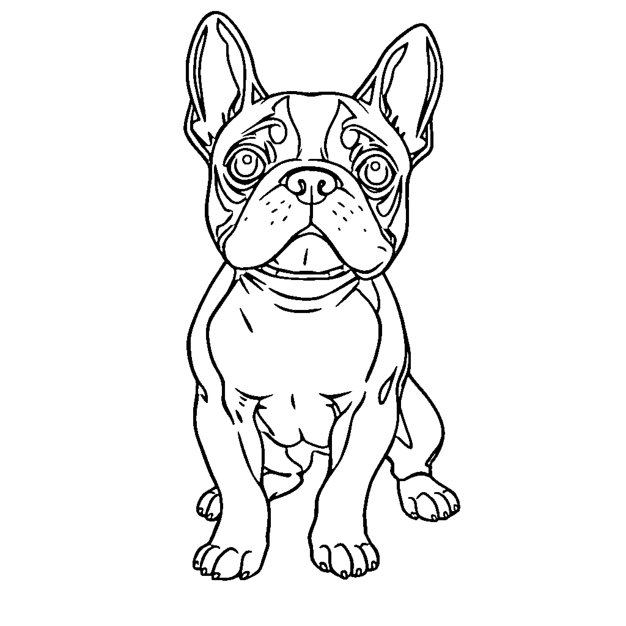 Boston Terrier sitting playfully Coloring Page (free black-and-white line drawing printable PDF for all, from beginners to advanced learners, including children, teens, adults, and seniors)