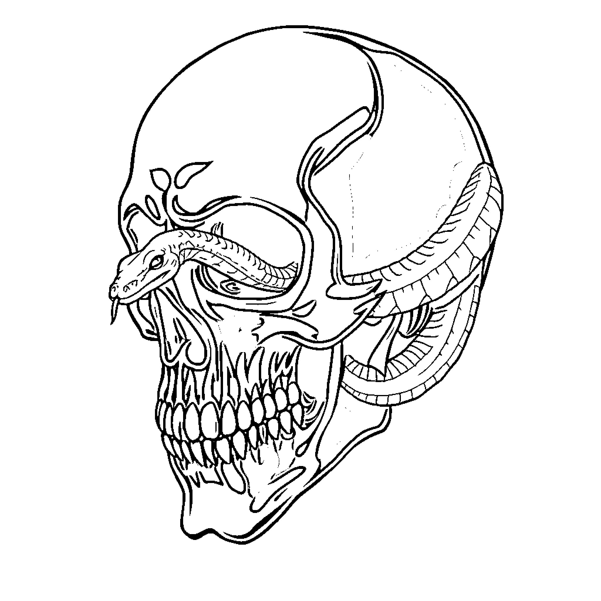 Skull with intricate serpentine design Coloring Page (free black-and-white line drawing printable PDF for all, from beginners to advanced learners, including children, teens, adults, and seniors)