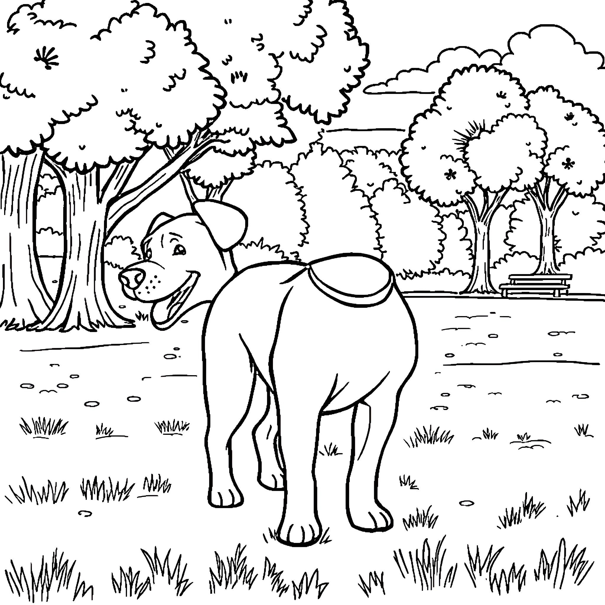 Dog exploring the tranquil forest landscape Coloring Page (free black-and-white line drawing printable PDF for all, from beginners to advanced learners, including children, teens, adults, and seniors)