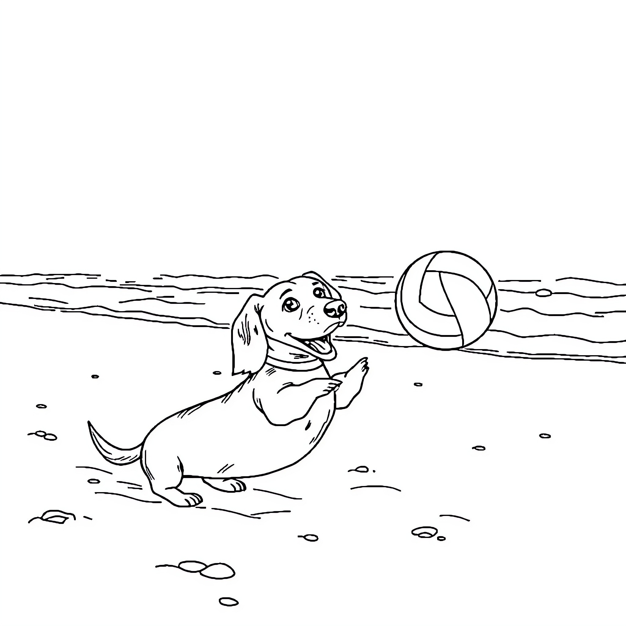 Dachshund playing with beach ball on shore Coloring Page (free black-and-white line drawing printable PDF for all, from beginners to advanced learners, including children, teens, adults, and seniors)