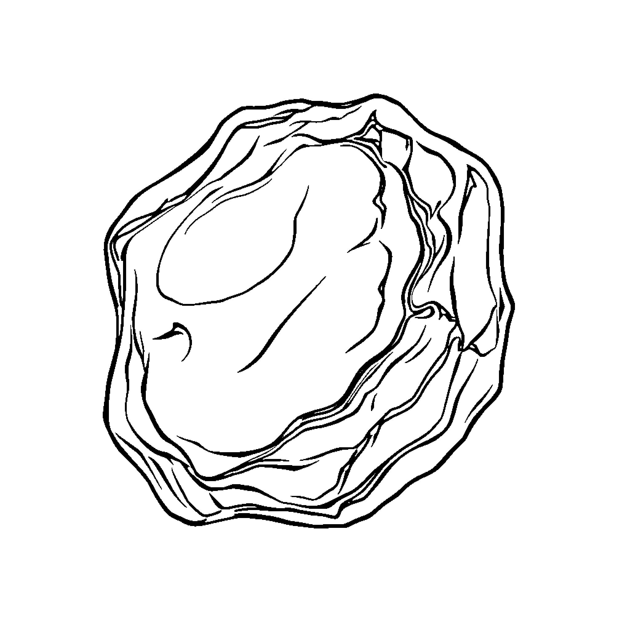 Boral leaf or flower sketch Coloring Page (free black-and-white line drawing printable PDF for all, from beginners to advanced learners, including children, teens, adults, and seniors)