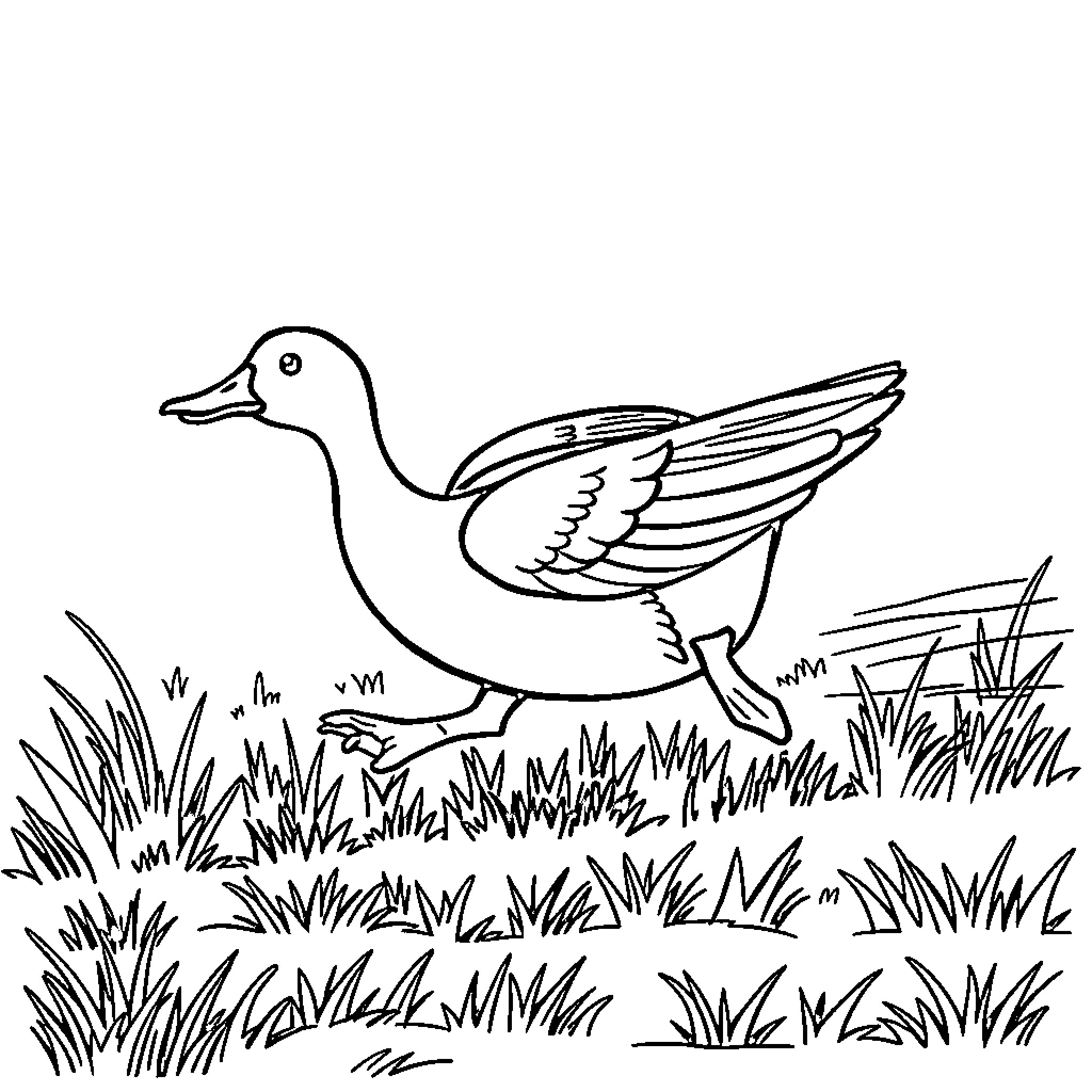 Duck exploring the meadow Coloring Page (free black-and-white line drawing printable PDF for all, from beginners to advanced learners, including children, teens, adults, and seniors)