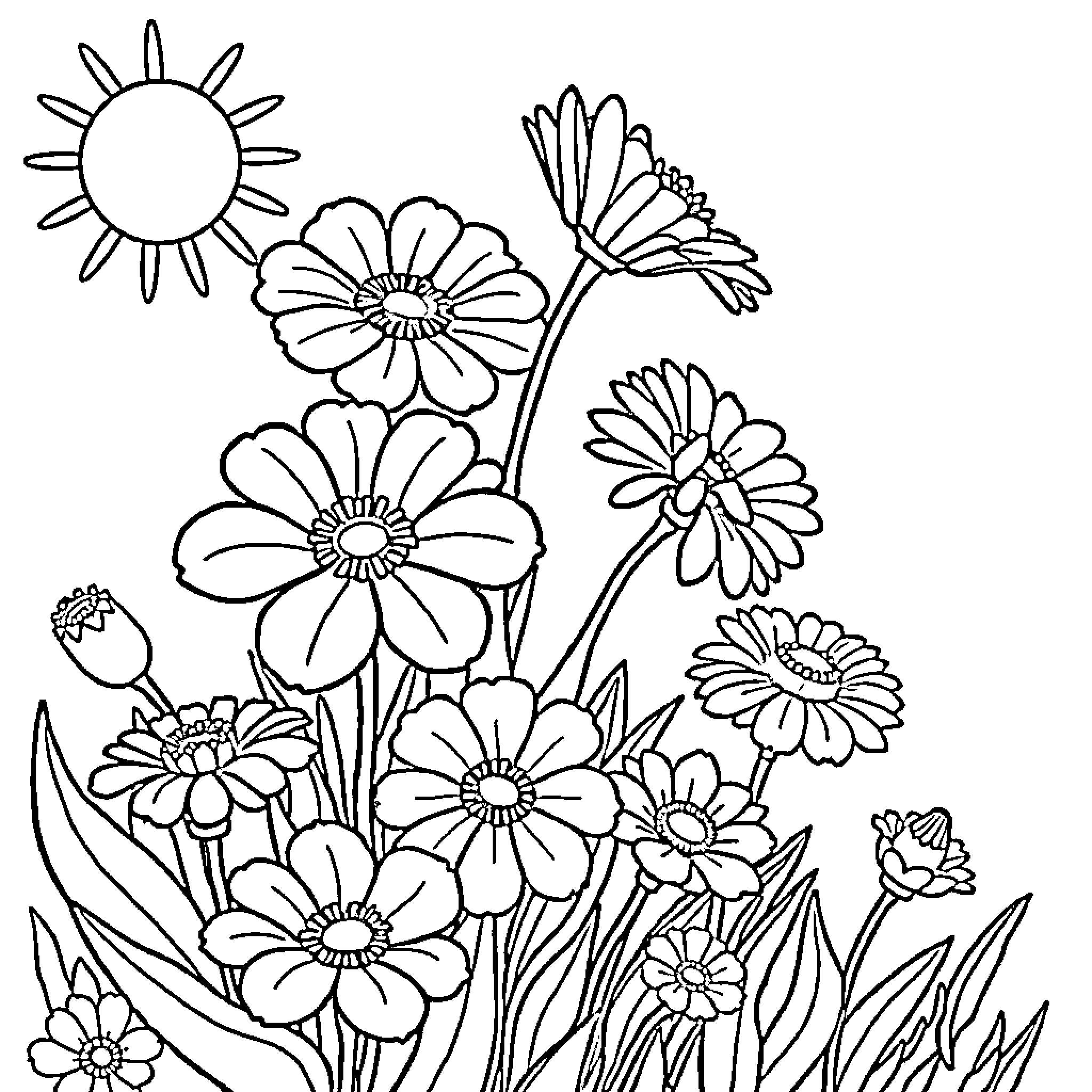 Flower garden with vibrant blooms and sunlight Coloring Page (free black-and-white line drawing printable PDF for all, from beginners to advanced learners, including children, teens, adults, and seniors)