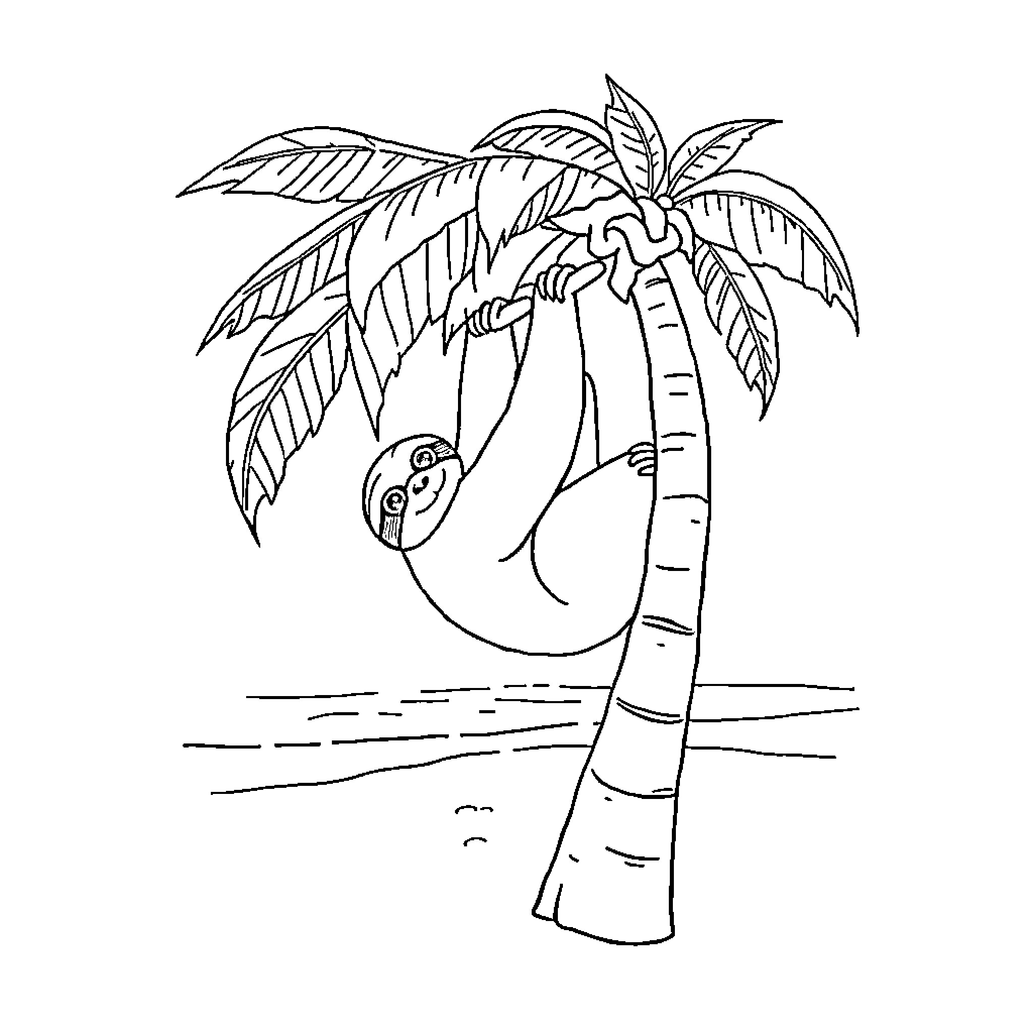 Sloth resting peacefully on a palm tree Coloring Page (free black-and-white line drawing printable PDF for all, from beginners to advanced learners, including children, teens, adults, and seniors)