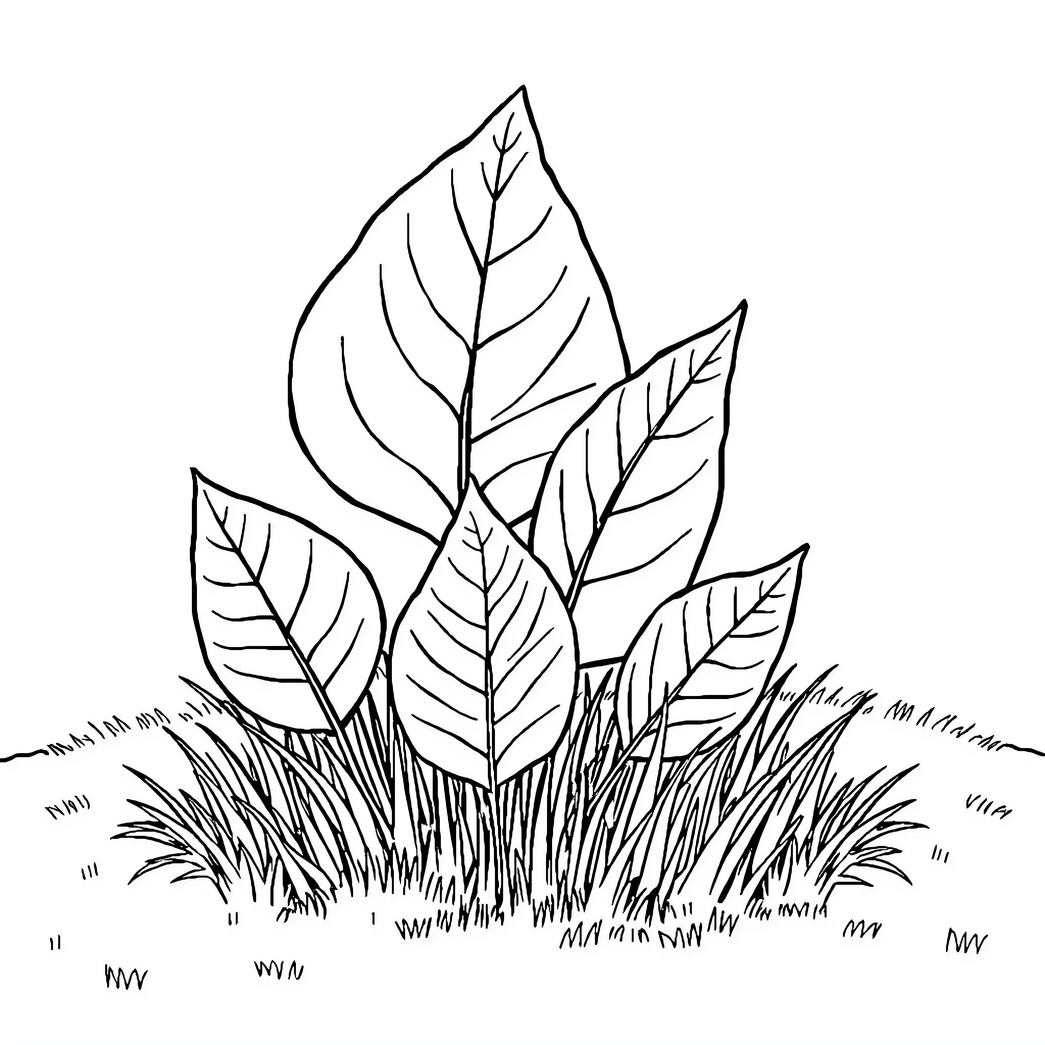 Leaf foliage in lush meadow Coloring Page (free black-and-white line drawing printable PDF for all, from beginners to advanced learners, including children, teens, adults, and seniors)