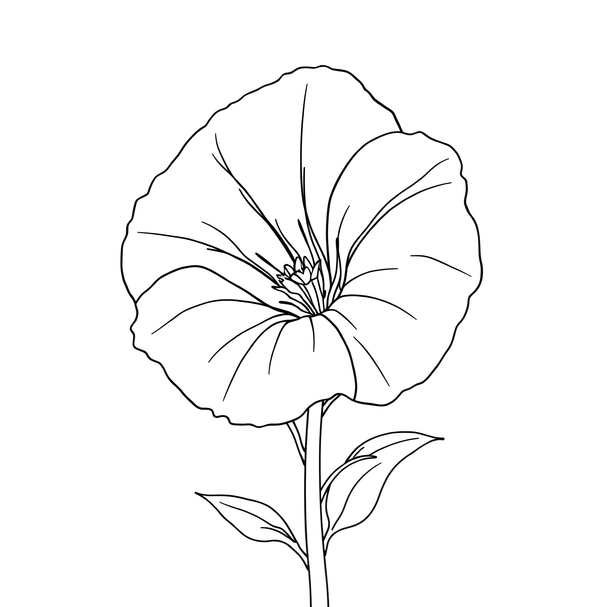 Petunia flower line art illustration Coloring Page (free black-and-white line drawing printable PDF for all, from beginners to advanced learners, including children, teens, adults, and seniors)