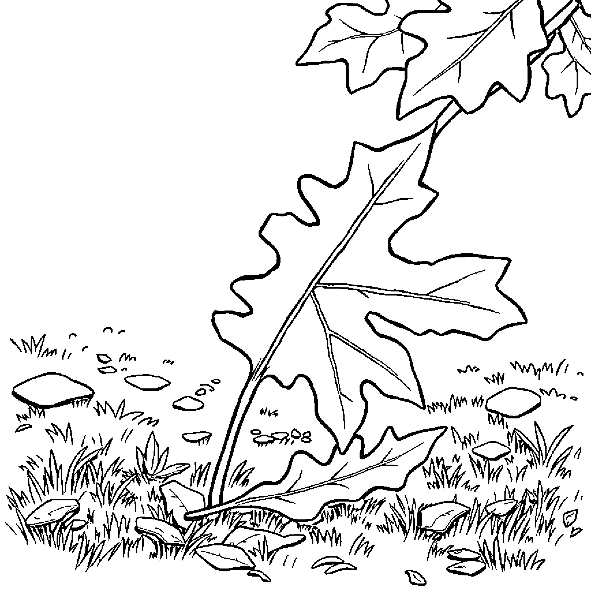 Oak Leaf Doodle Artwork with Nature Elements Coloring Page (free black-and-white line drawing printable PDF for all, from beginners to advanced learners, including children, teens, adults, and seniors)