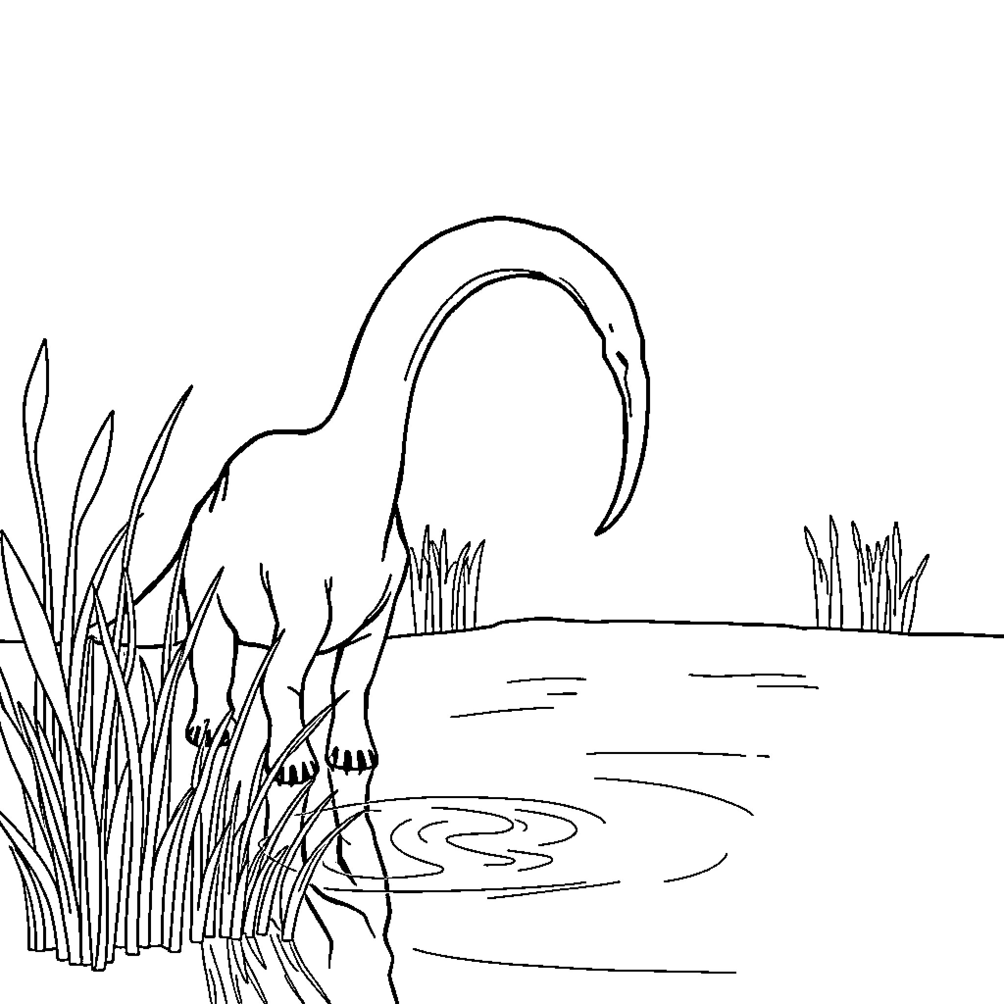 Diplodocus exploring serene wetland habitat Coloring Page (free black-and-white line drawing printable PDF for all, from beginners to advanced learners, including children, teens, adults, and seniors)
