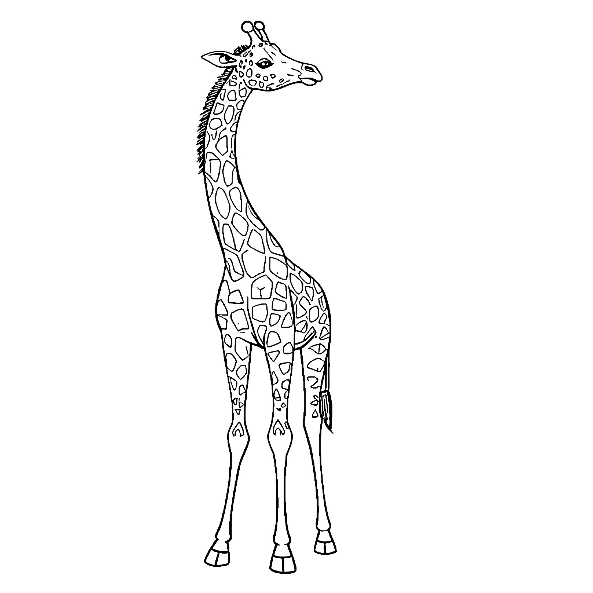 Giraffe standing tall and slender Coloring Page (free black-and-white line drawing printable PDF for all, from beginners to advanced learners, including children, teens, adults, and seniors)