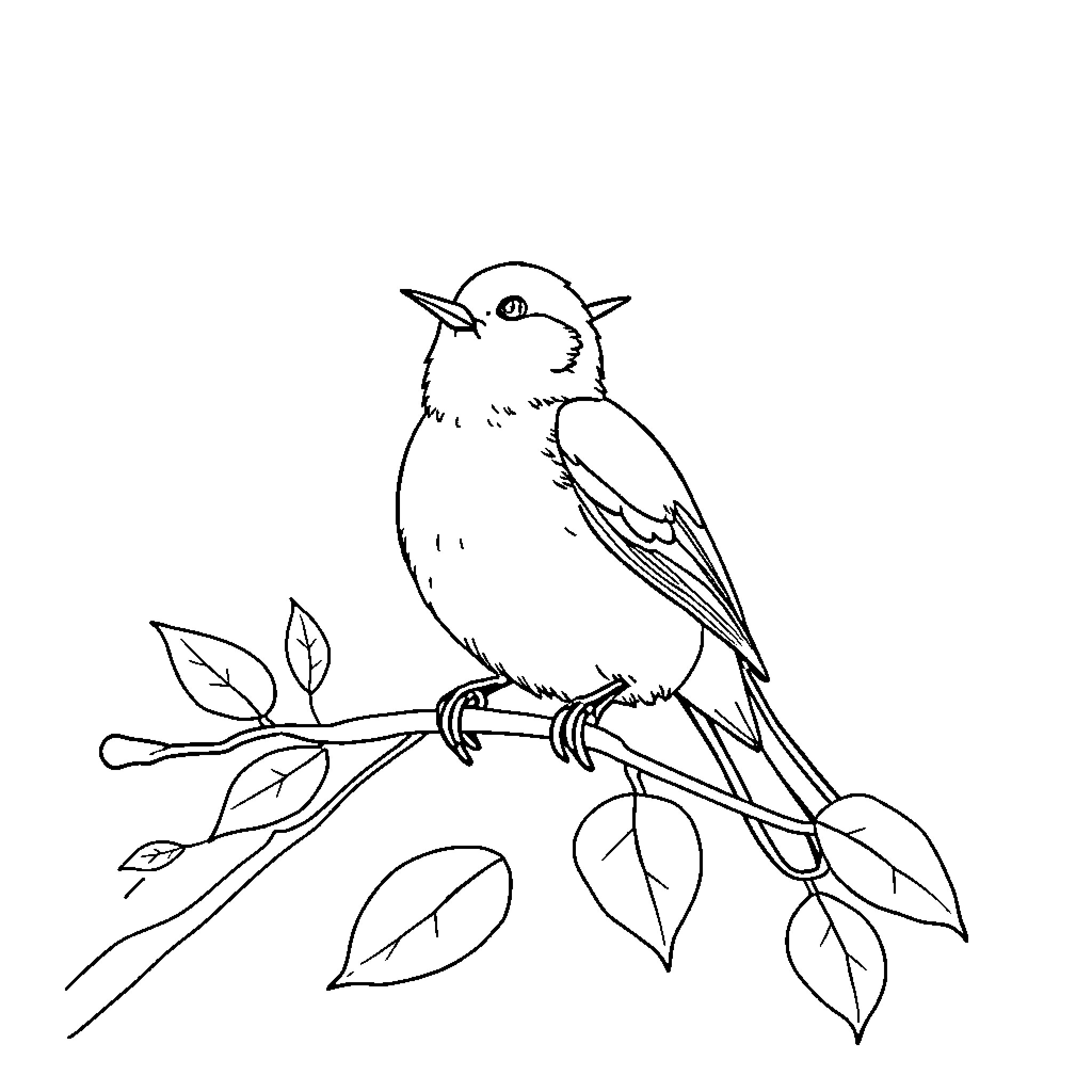 Bird perched on branch with leaves Coloring Page (free black-and-white line drawing printable PDF for all, from beginners to advanced learners, including children, teens, adults, and seniors)