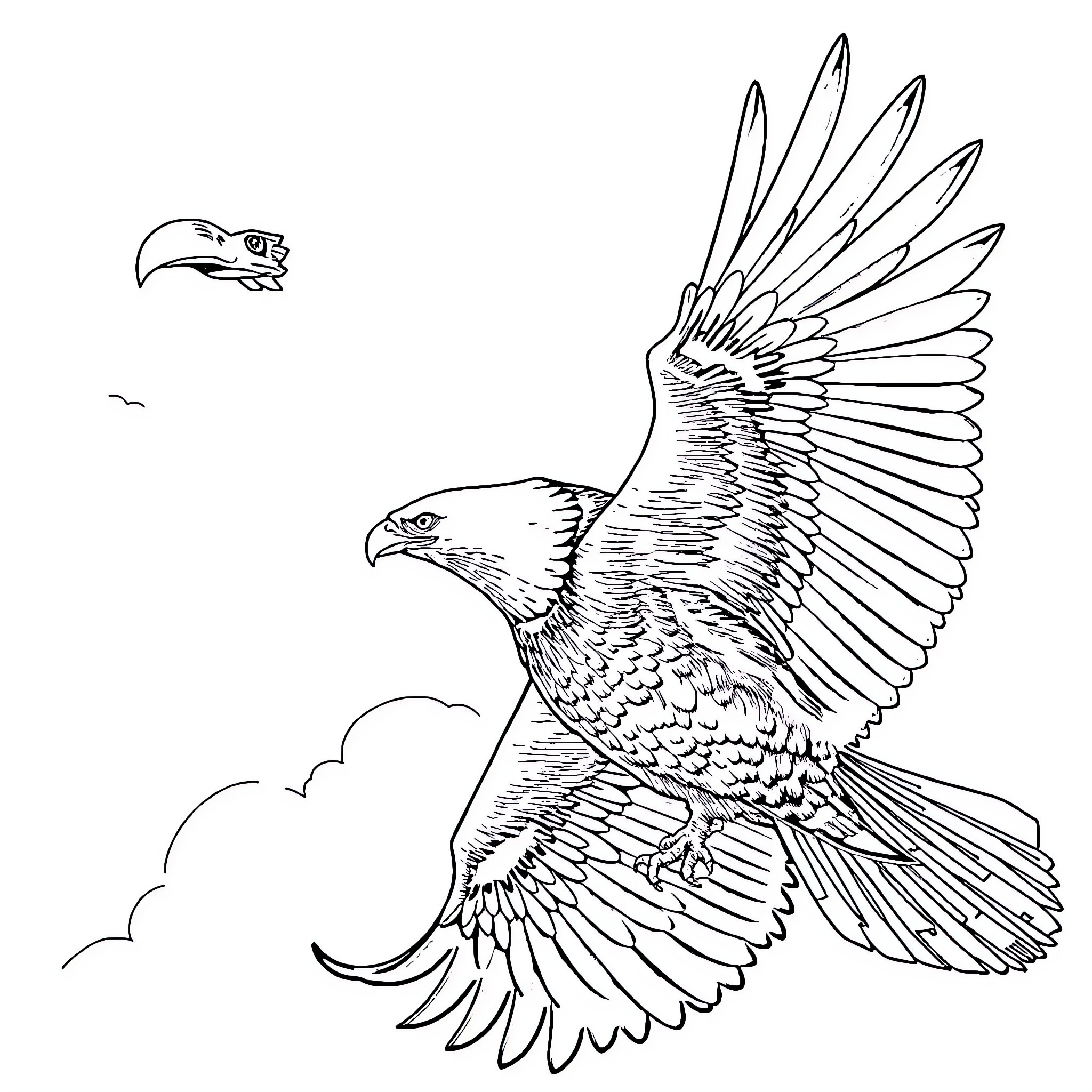 Bald Eagles soaring gracefully in the sky Coloring Page (free black-and-white line drawing printable PDF for all, from beginners to advanced learners, including children, teens, adults, and seniors)