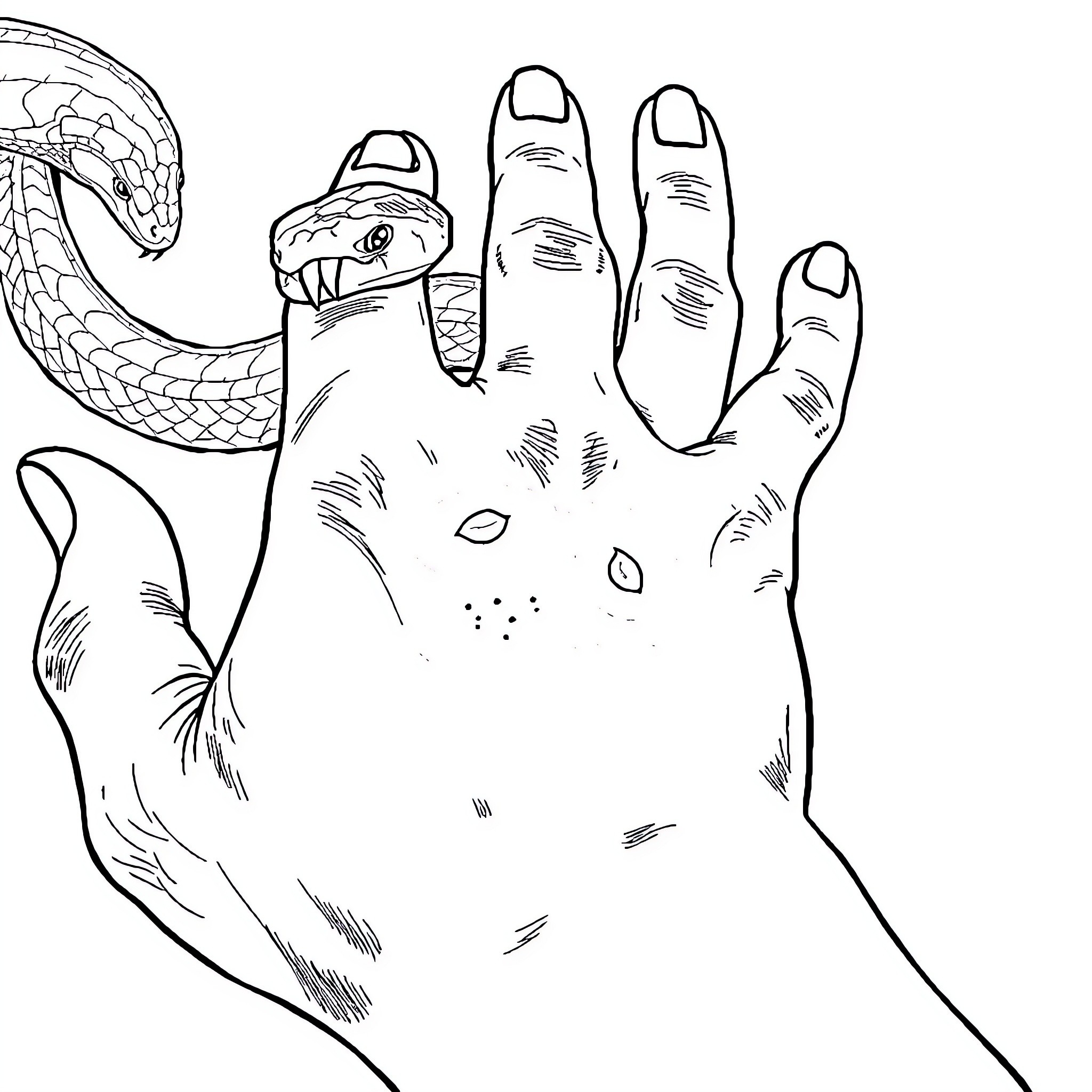Snake slithering on a human hand Coloring Page (free black-and-white line drawing printable PDF for all, from beginners to advanced learners, including children, teens, adults, and seniors)