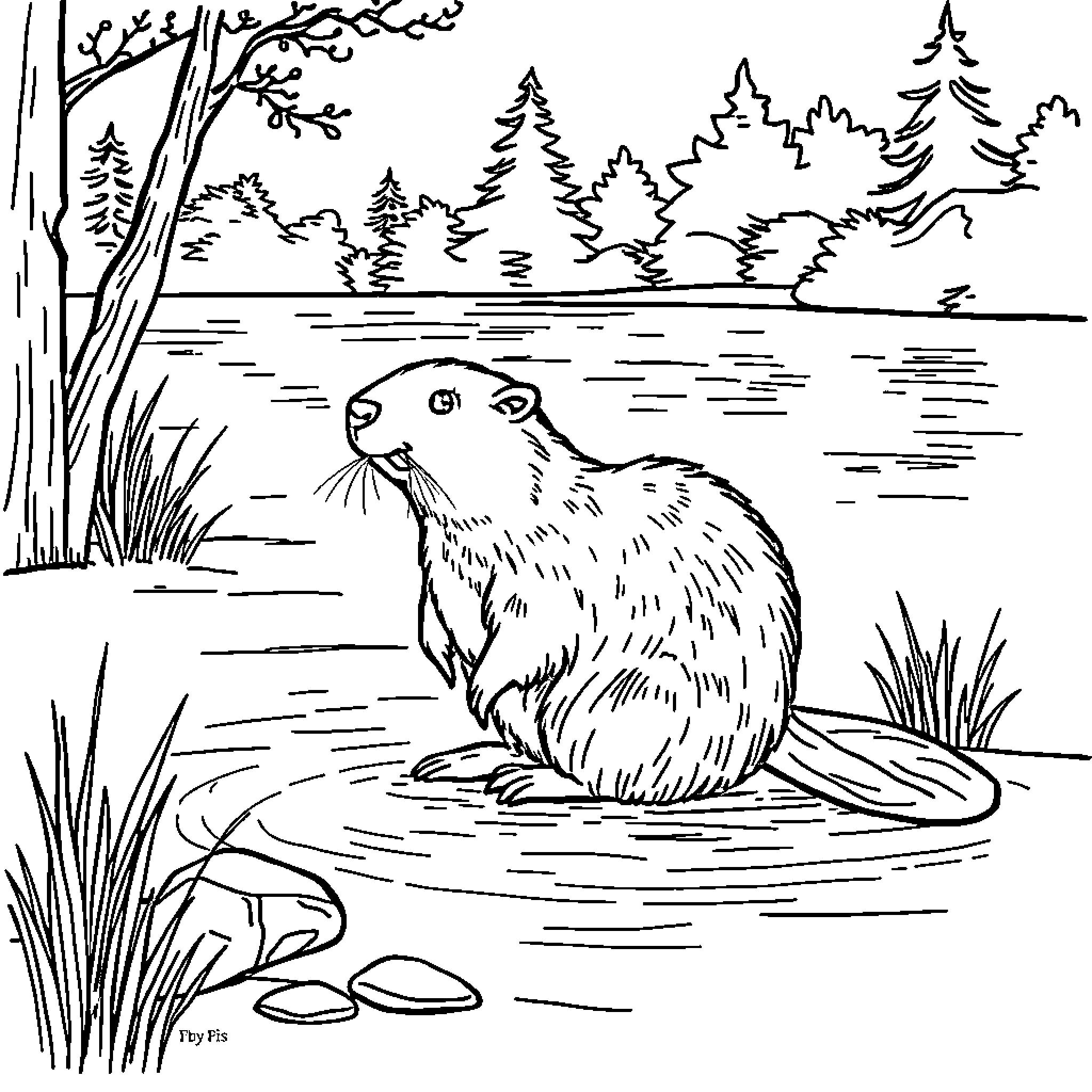 Beaver swimming in a peaceful forest lake Coloring Page (free black-and-white line drawing printable PDF for all, from beginners to advanced learners, including children, teens, adults, and seniors)